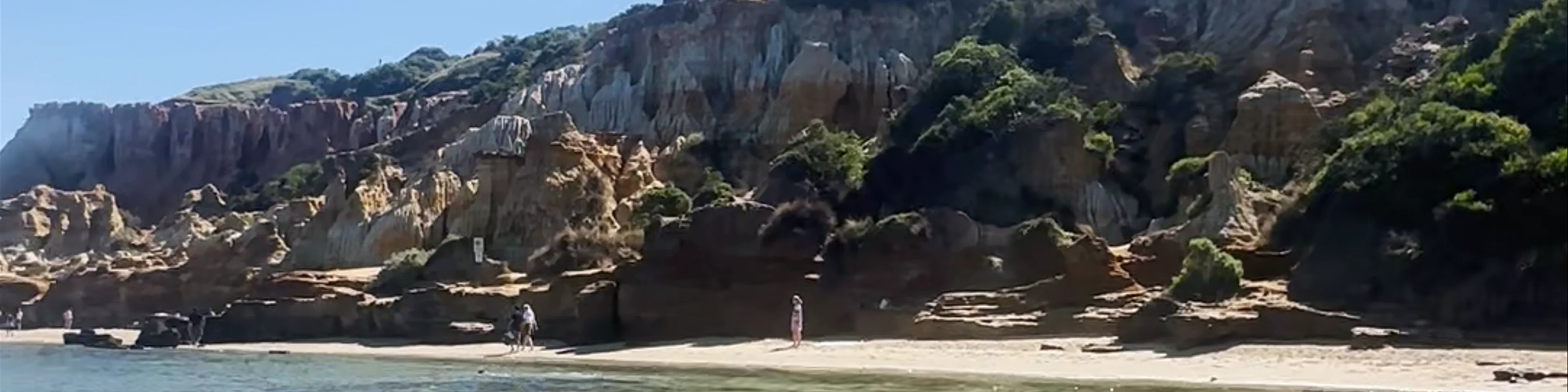 Sandringham Beach