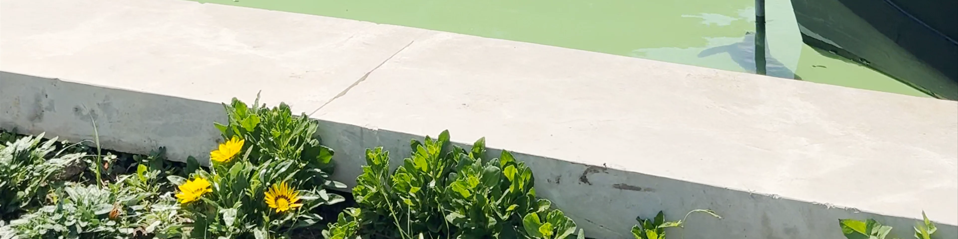 Mini Venice