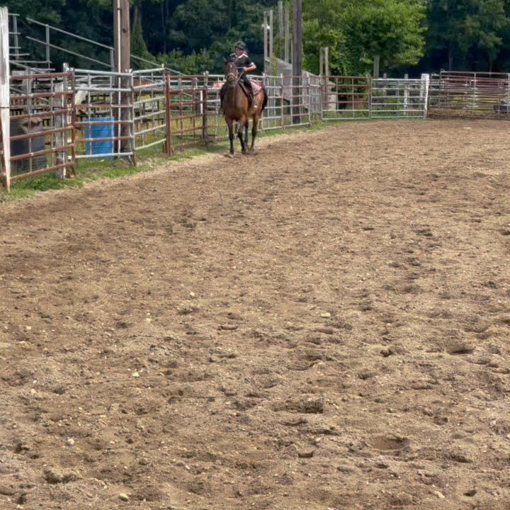 Chicas Ranch - I love this place! My daughter has took only 3 lessons and is doing super good! We love this community! - Horseback Riding Near Me - Buena, New Jersey