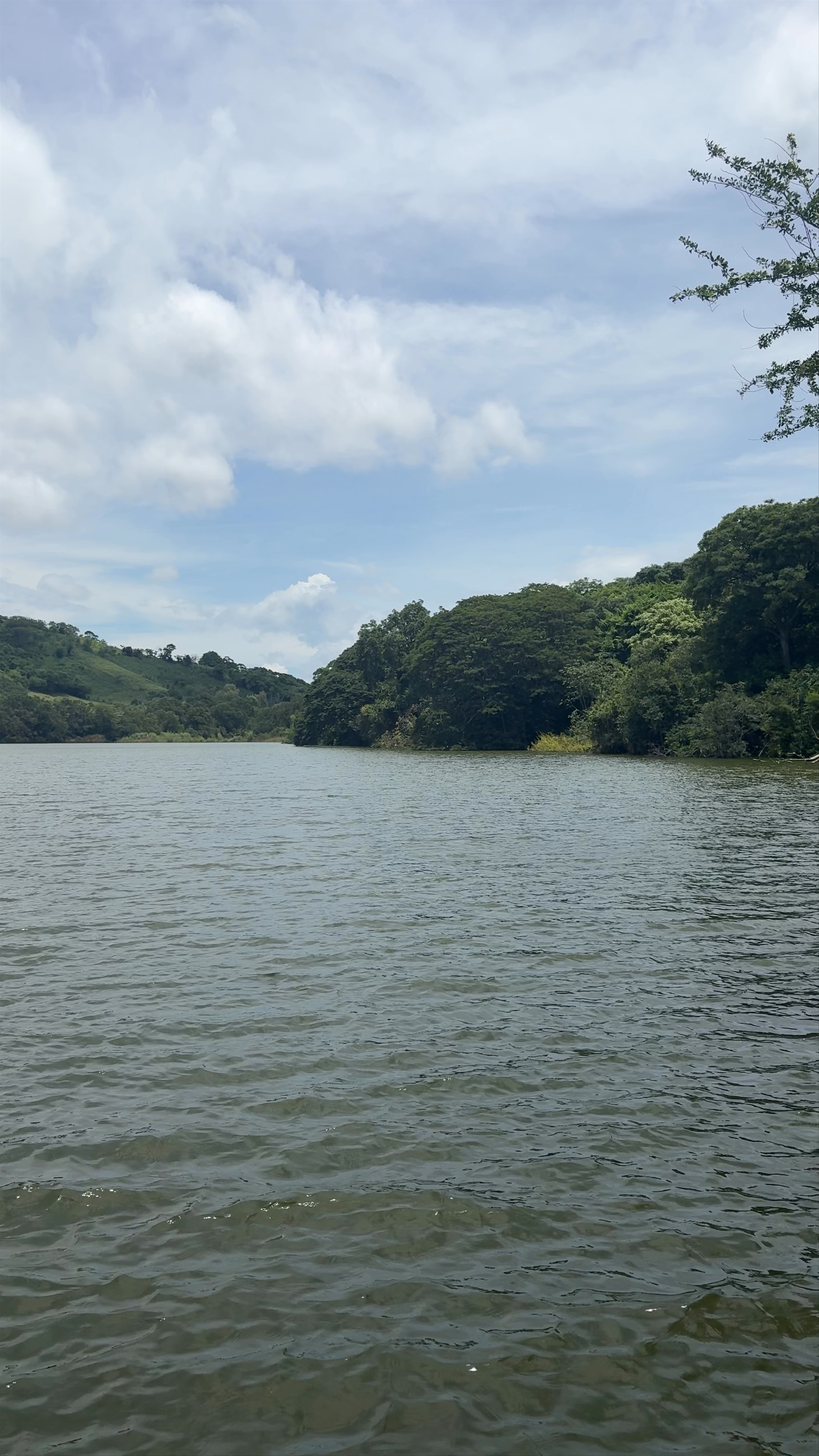 Charco Verde Park & Butterfly Aviary
