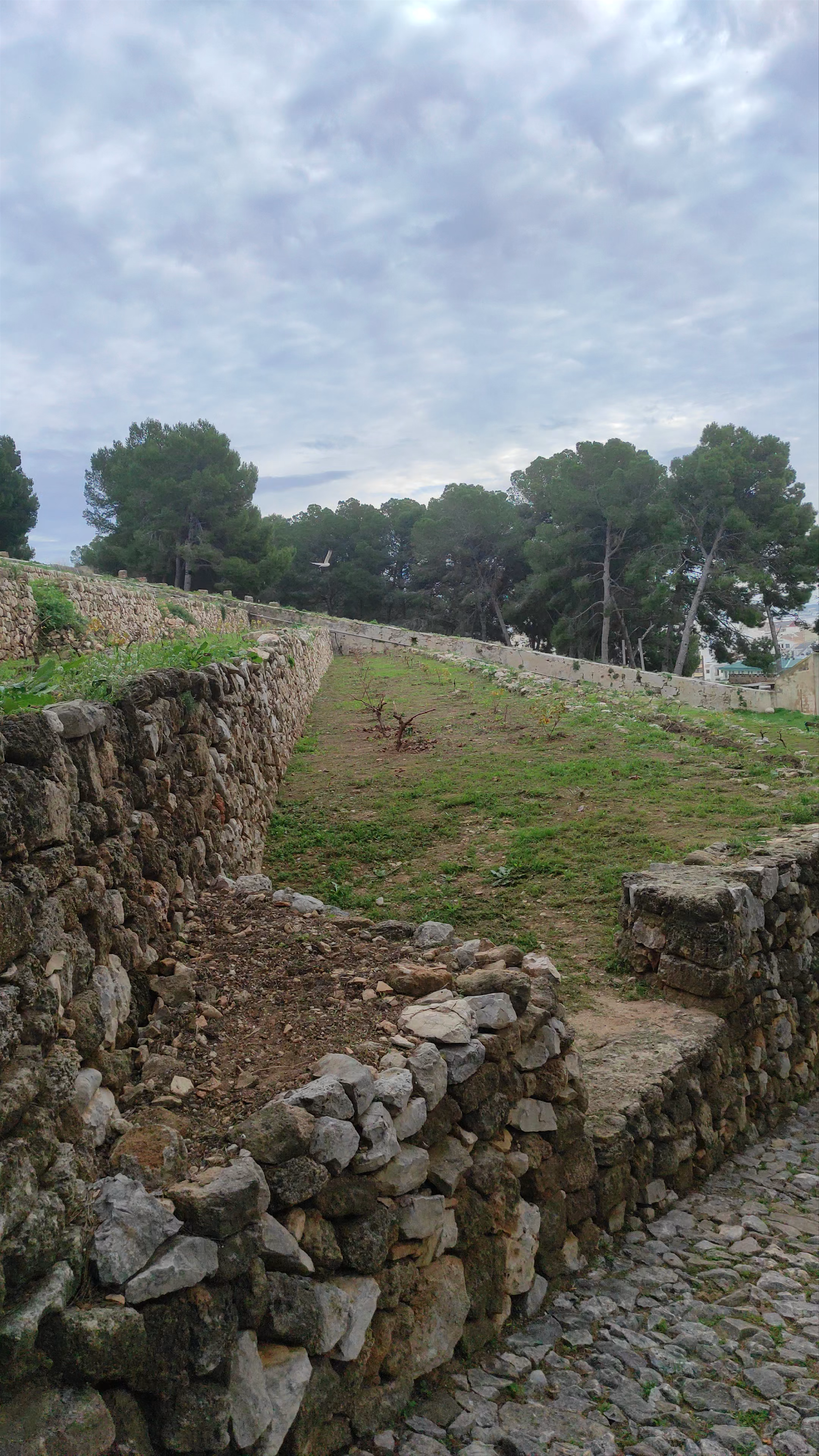 Exploring Castell de Dénia: Ancient Stones and Mediterranean Views