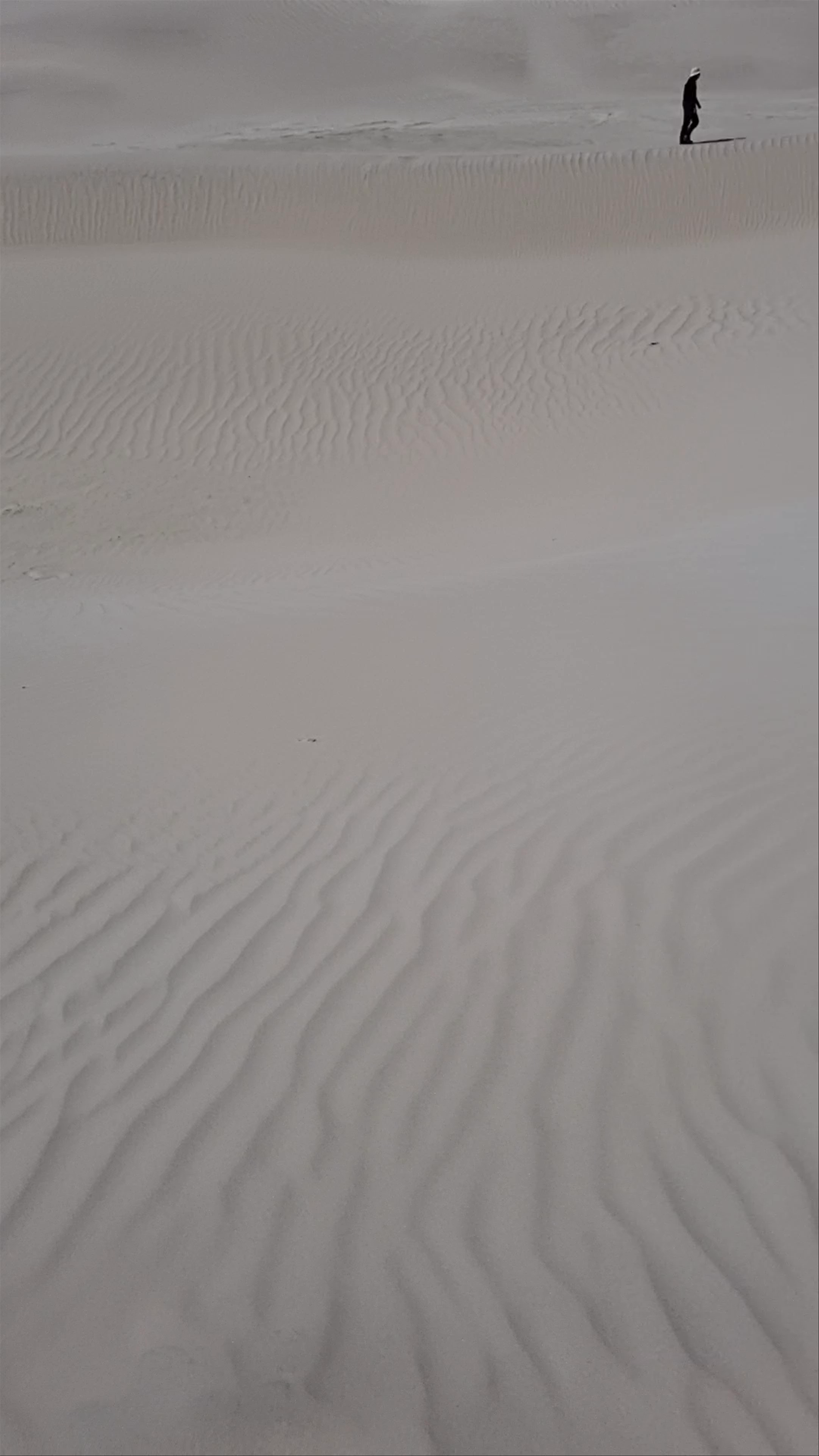 Sugar Dunes