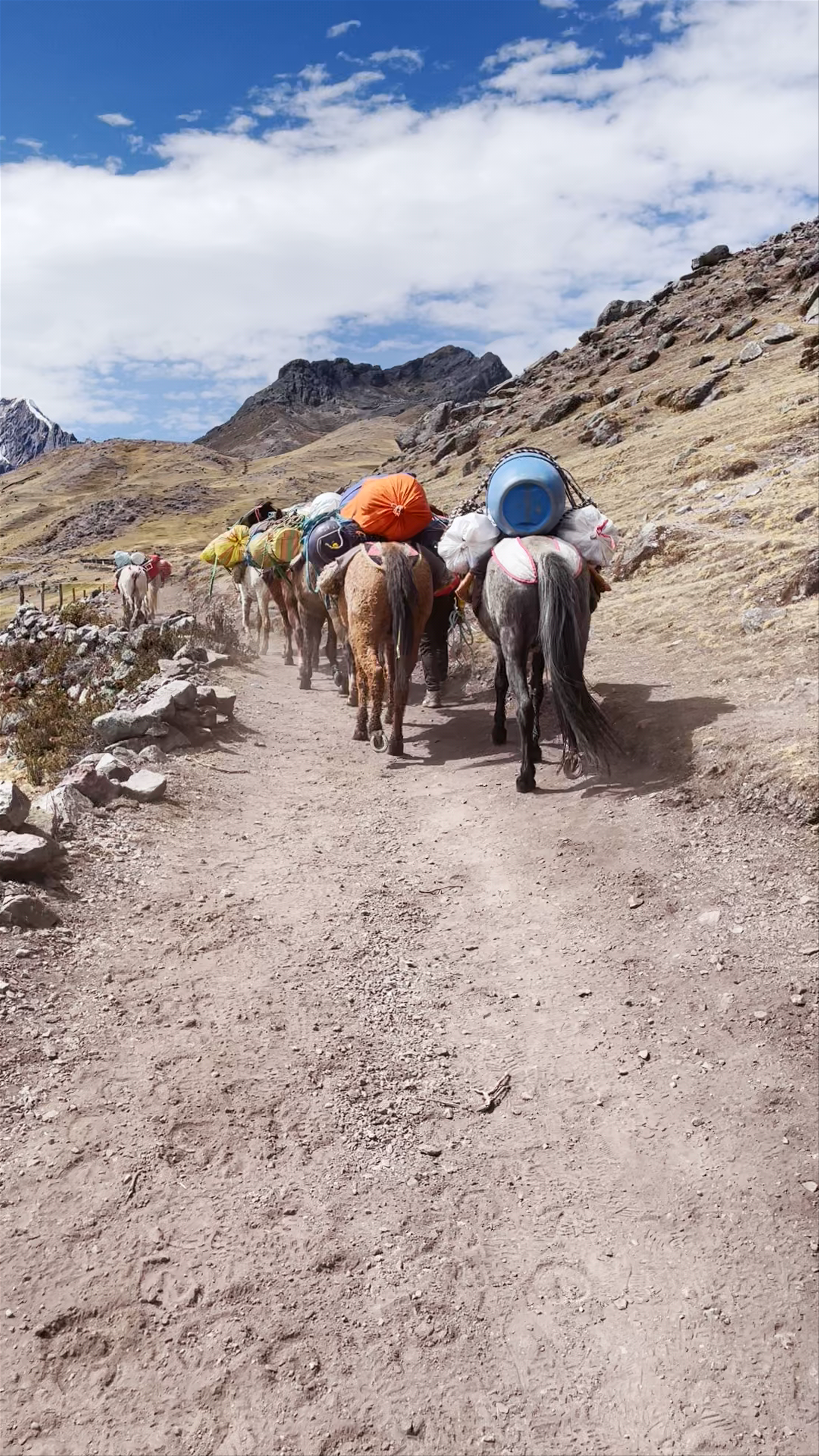 Highland Caravan Trek Through Pajchanta's Rugged Mountains