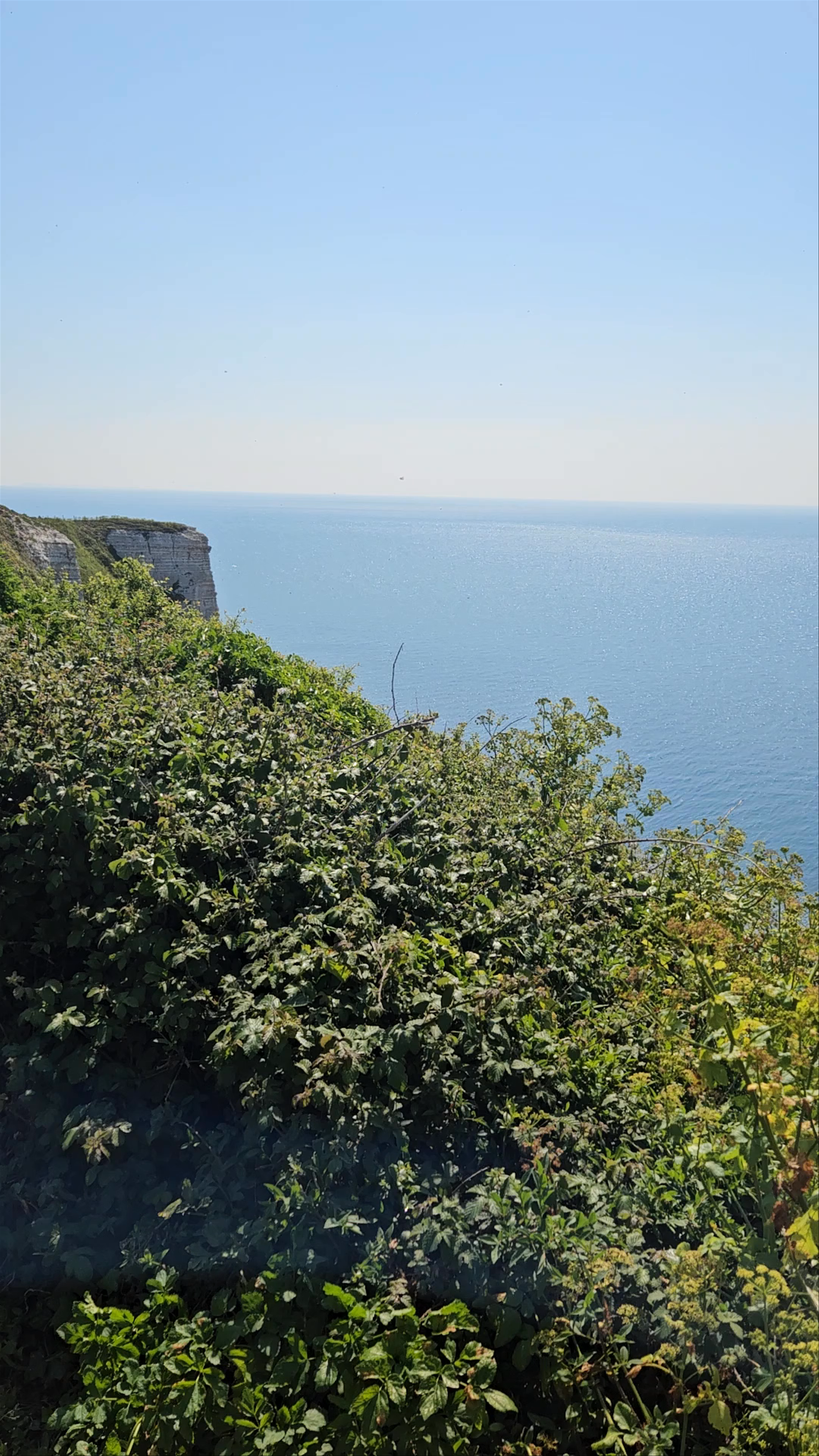 Hooken Cliffs: Stunning Coastal Hike on England’s Jurassic Coast