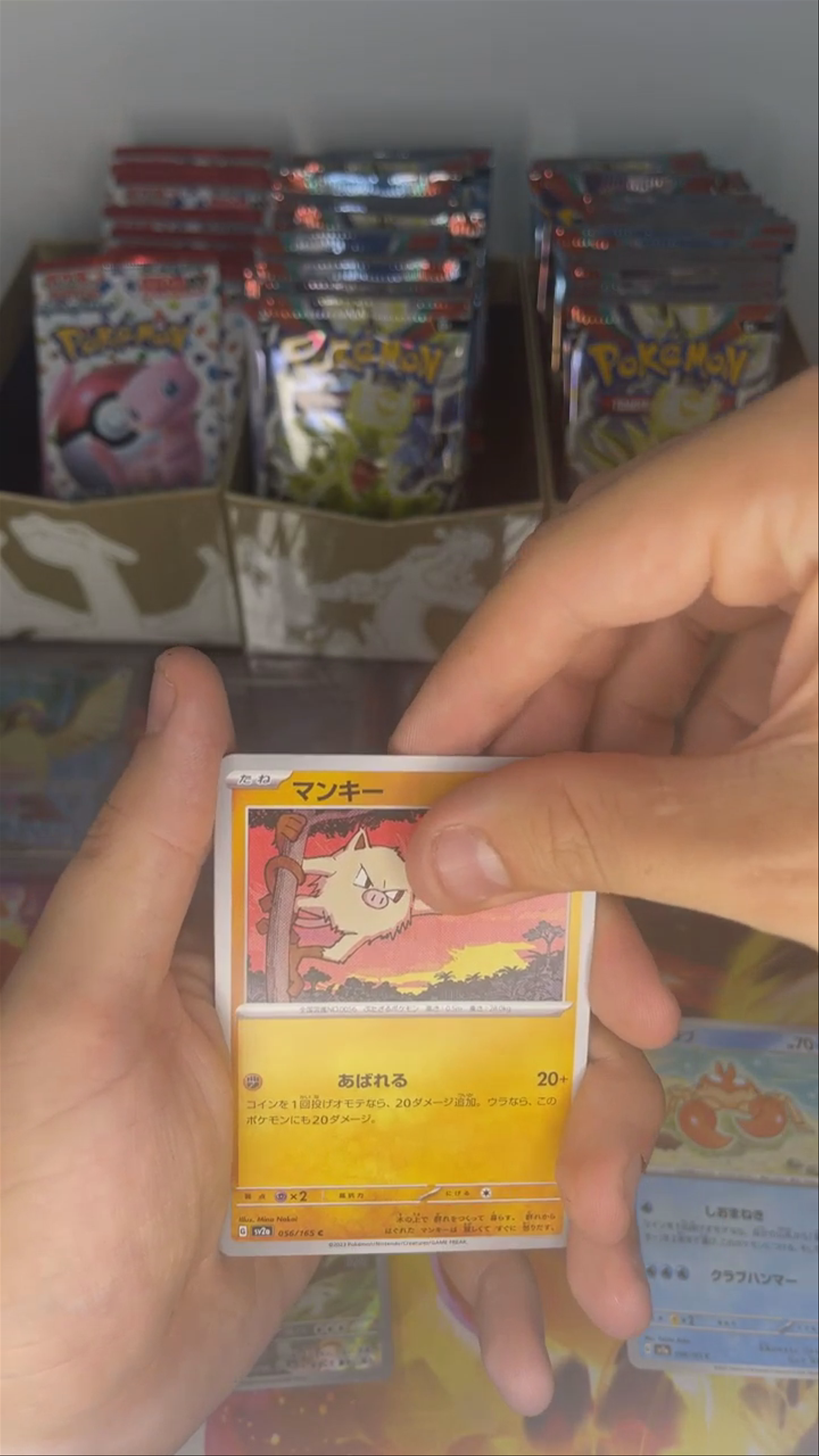 CHARIZARD SAR PULLED