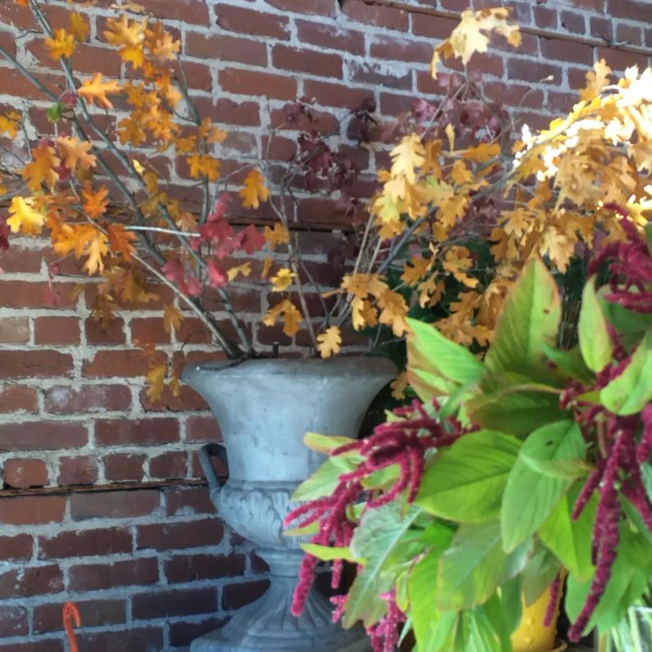 Fiori - Florists Near Me - Burlingame, California