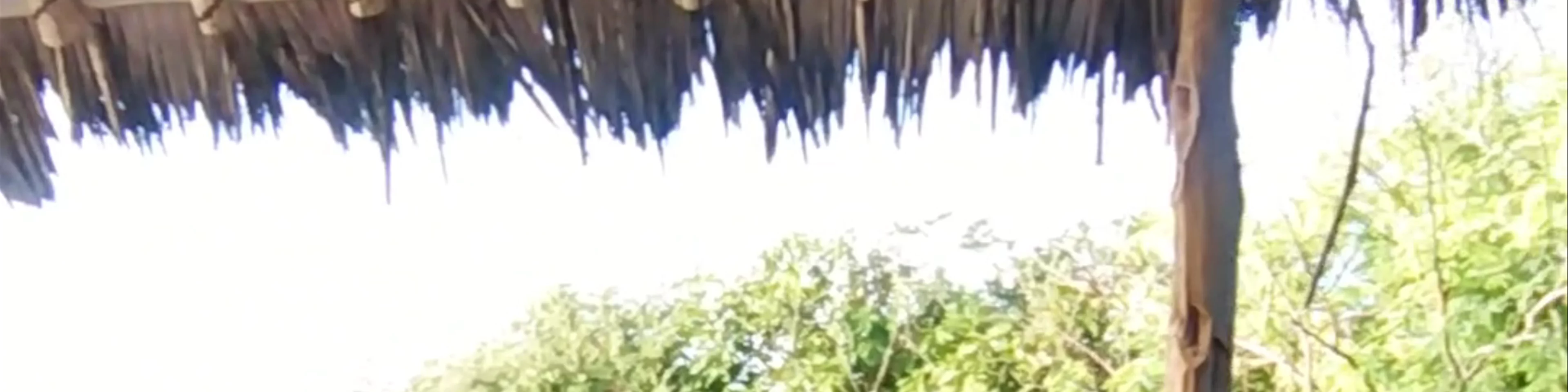 Watamu Beach Cottages
