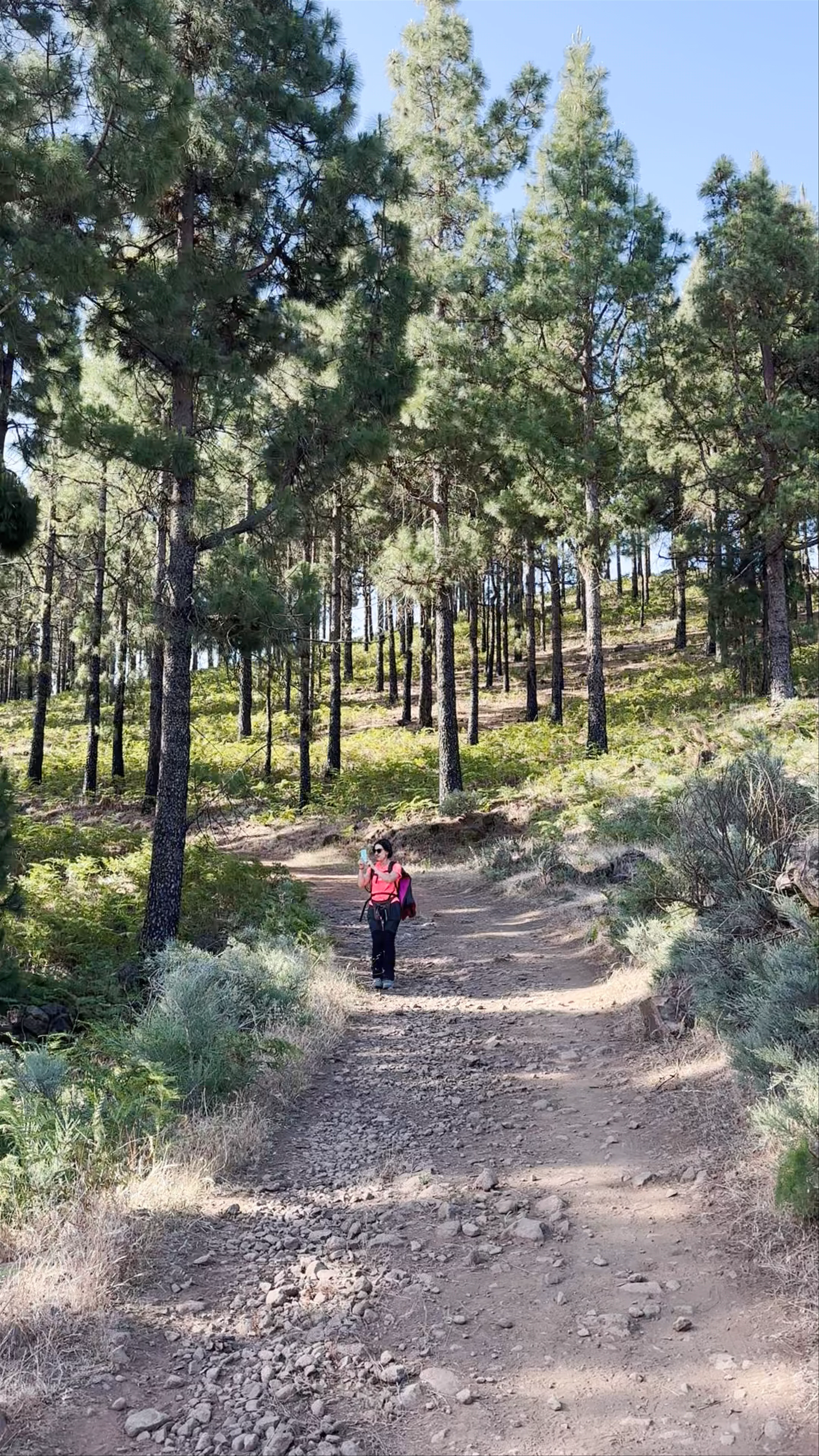 Paisaje Protegido de Las Cumbres