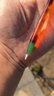 Small image 3