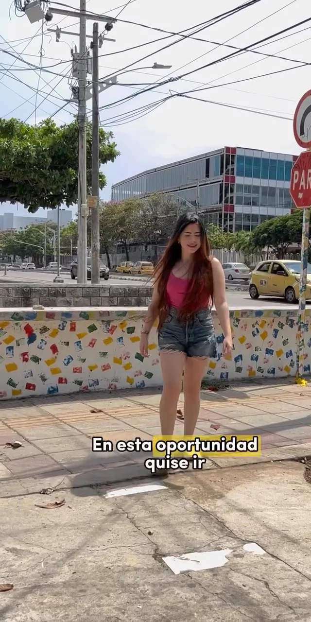 Contenido del creador