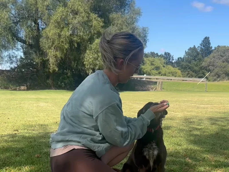 Jess & Hemppet