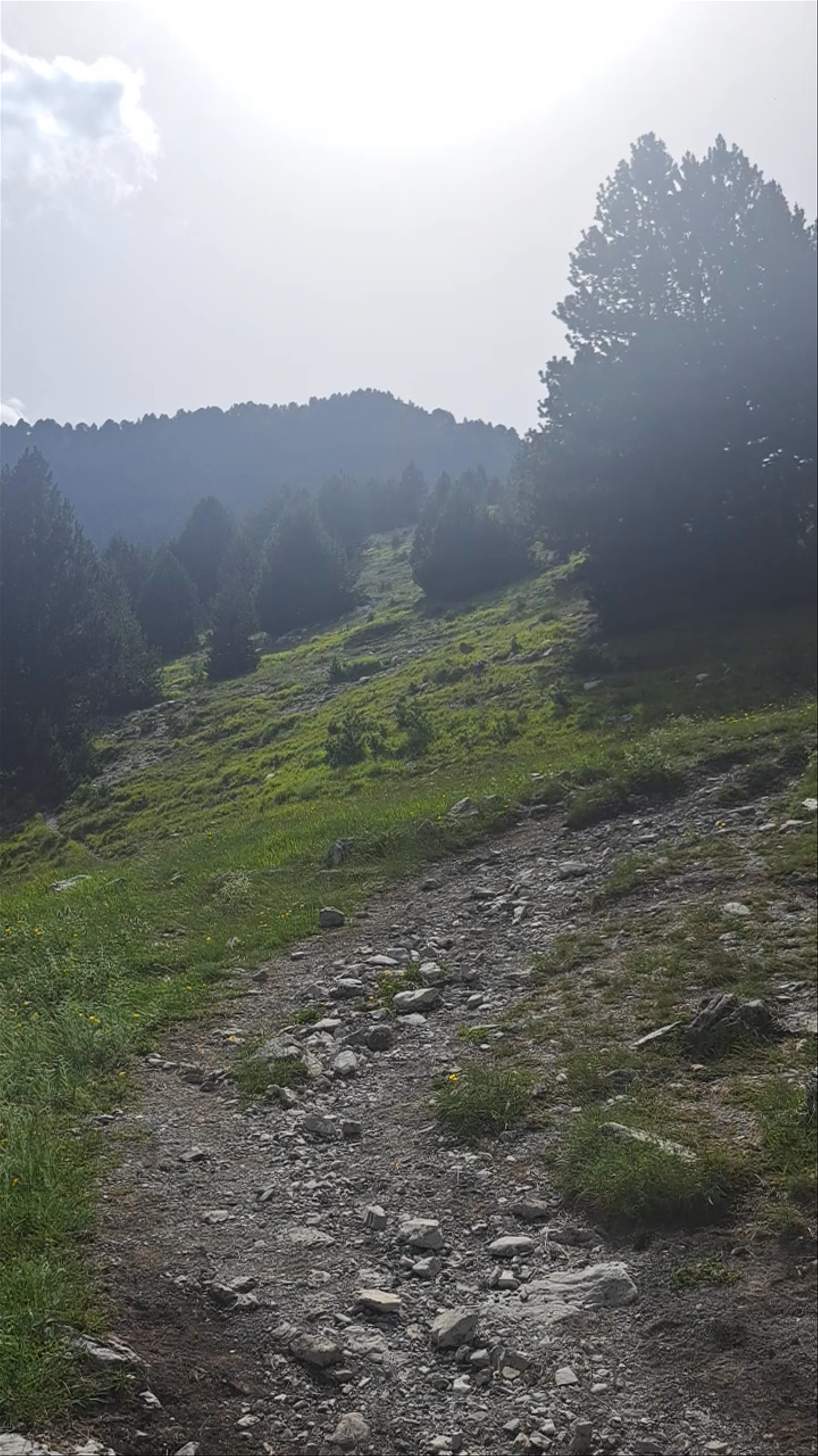 Hiking the Natural Trails at Petrostrouga Shelter, Litochoro