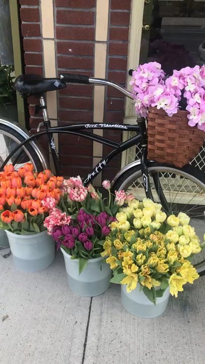 Jephry Floral Studio - Front display - Florists Near Me - Providence, Rhode Island