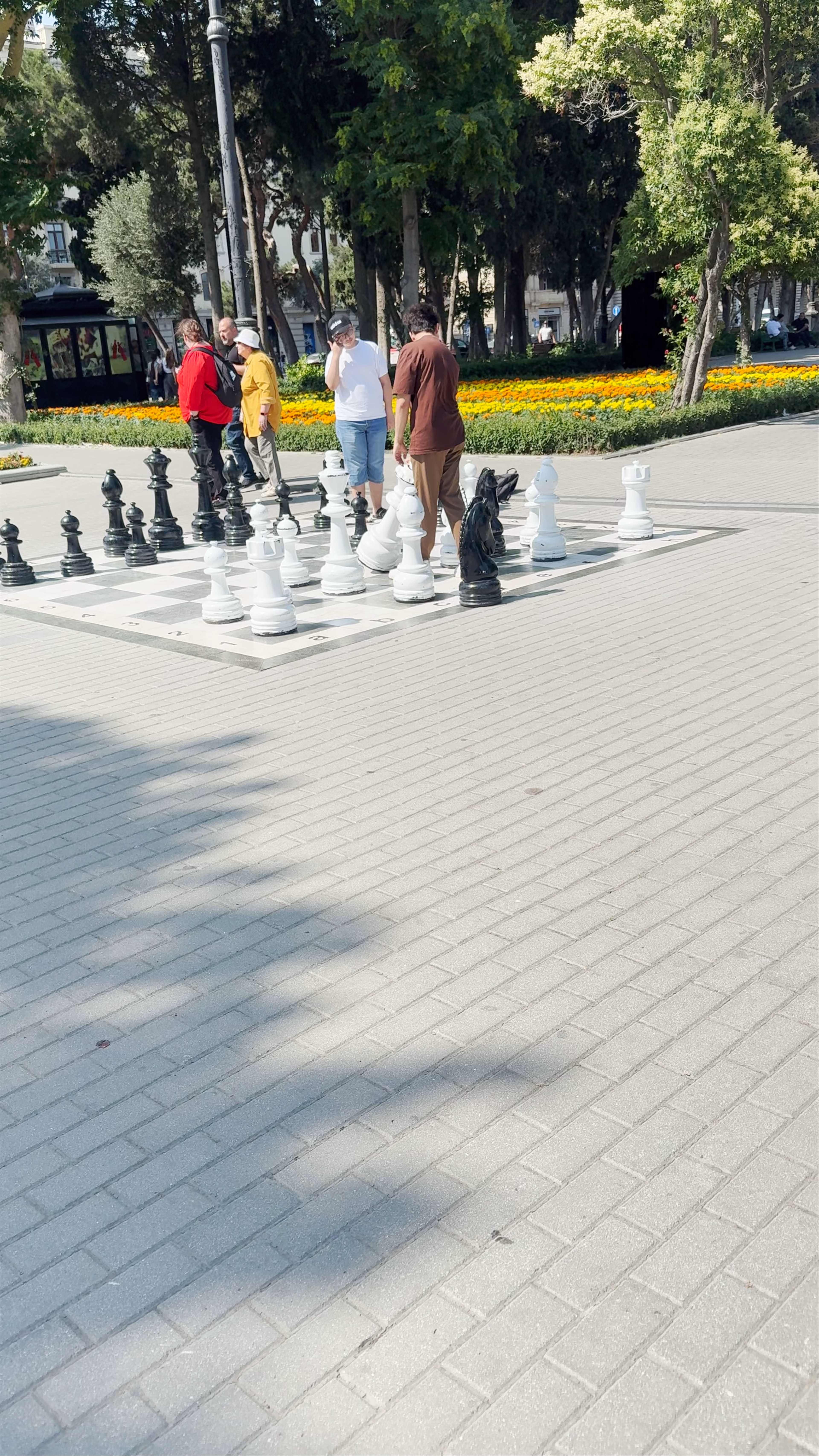 Chess Field