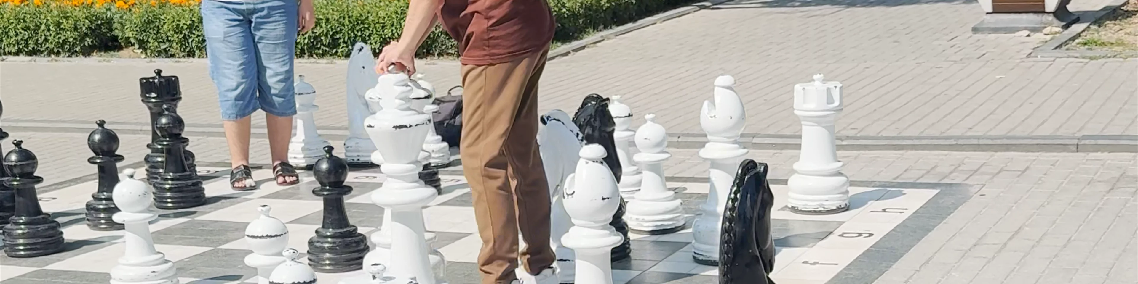 Chess Field
