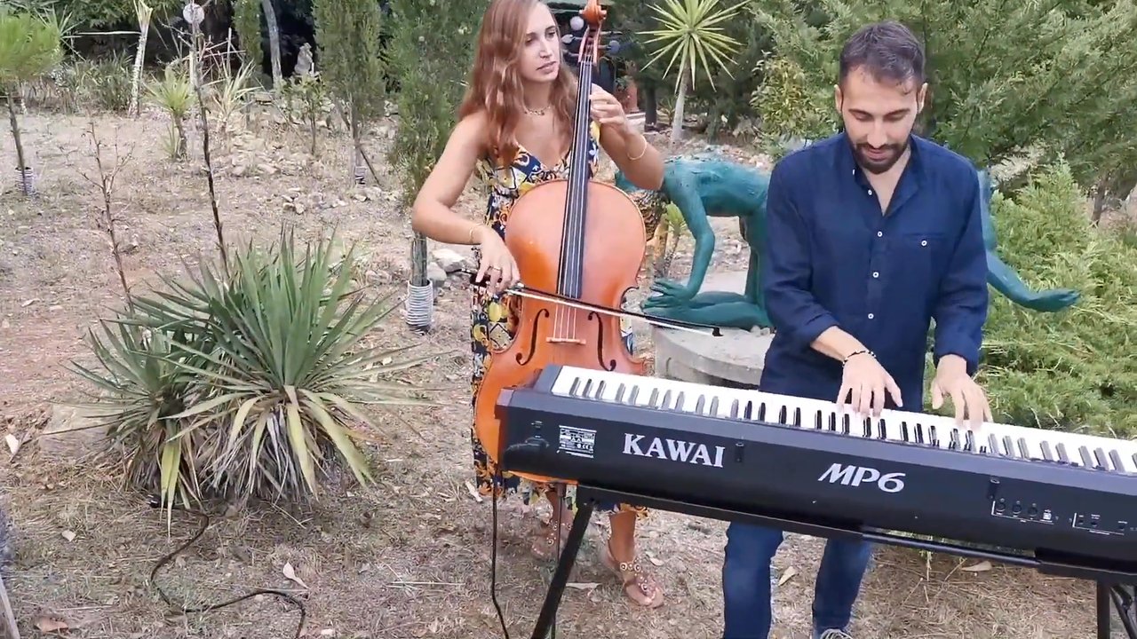 Tuscan Cello & Piano Duo - Wake Me Up - video