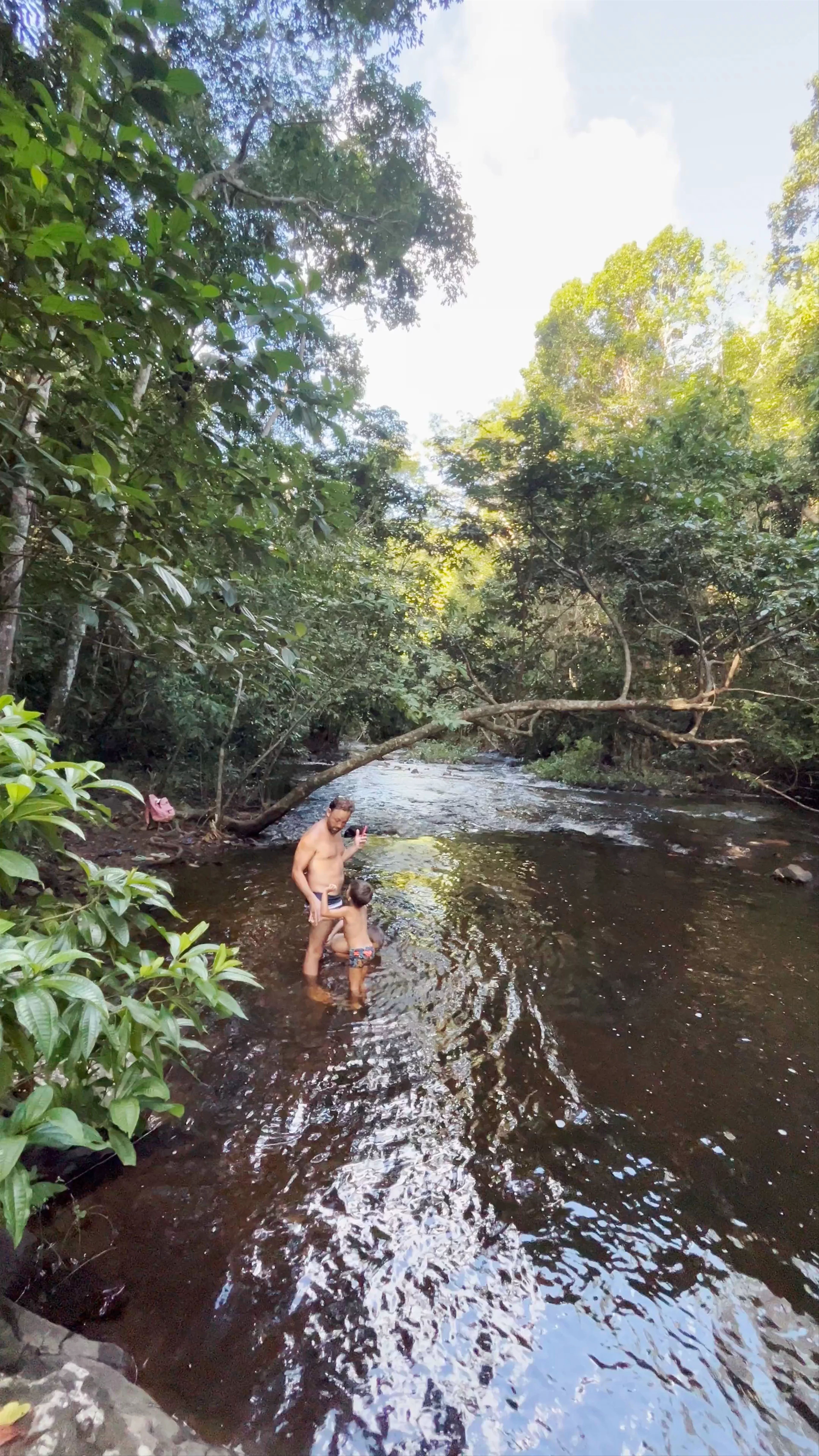 Cachoeira da Usina - Itacaré, State of Bahia, Brazil