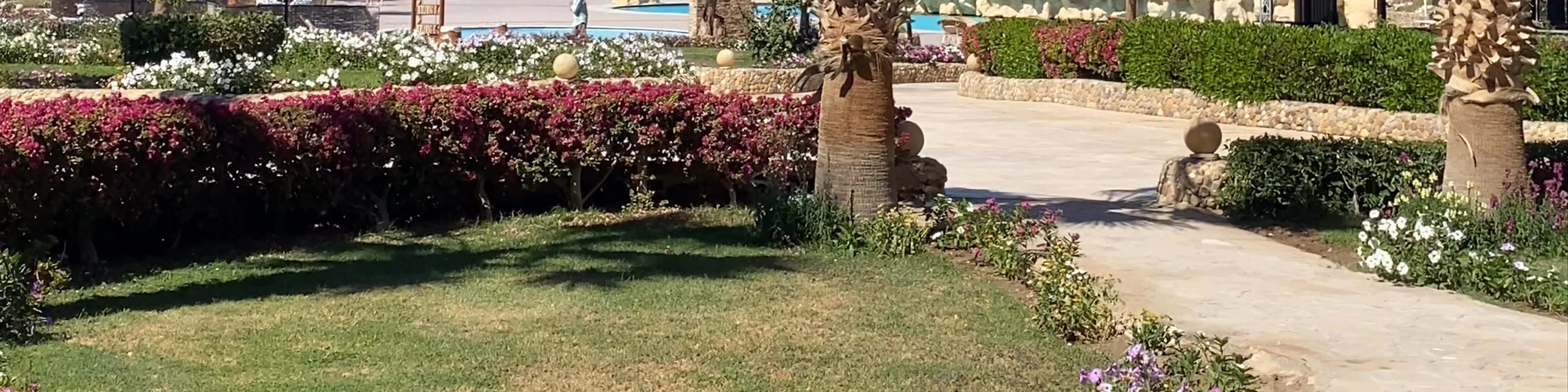 Elphistone resort