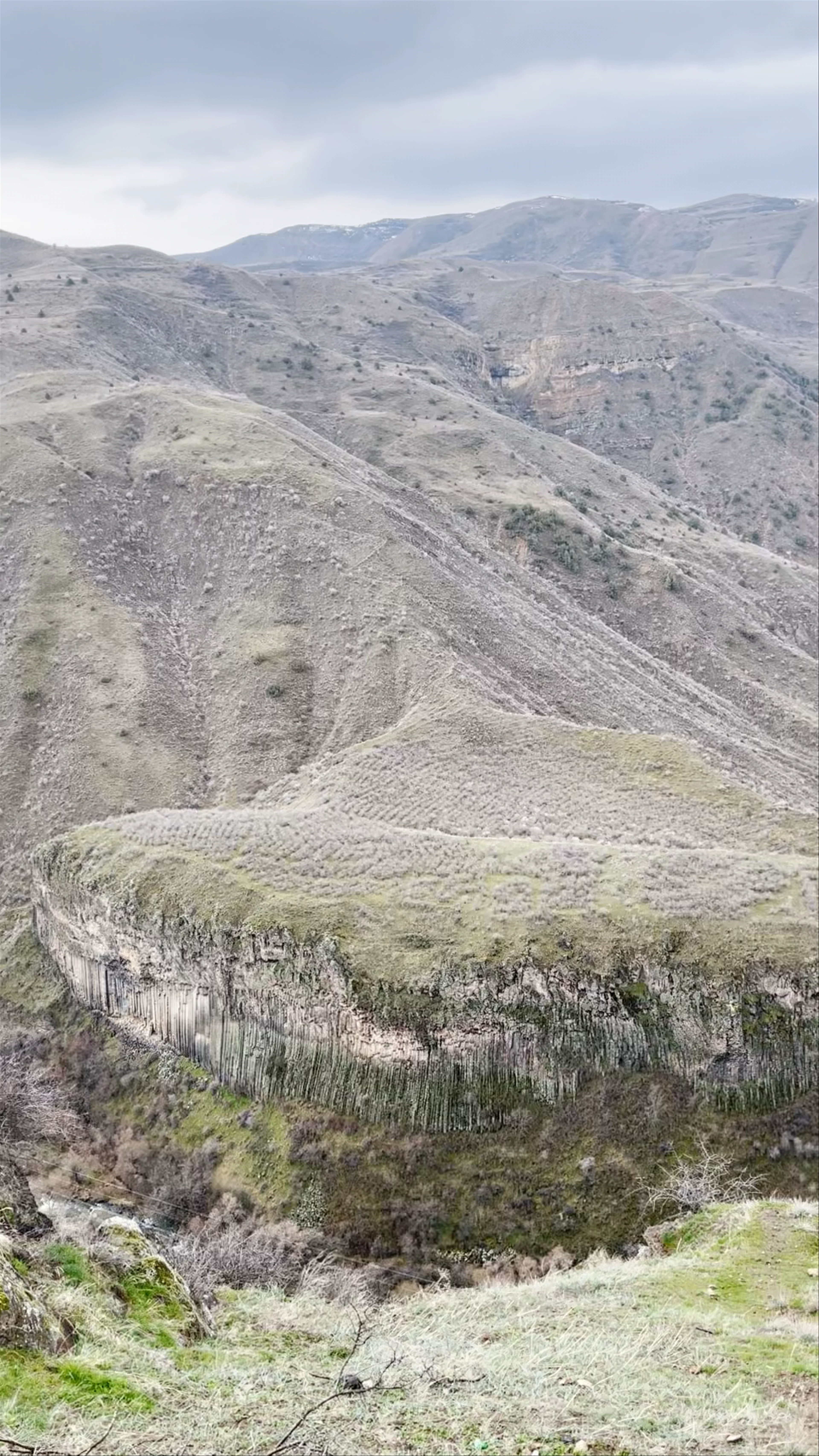 Garni