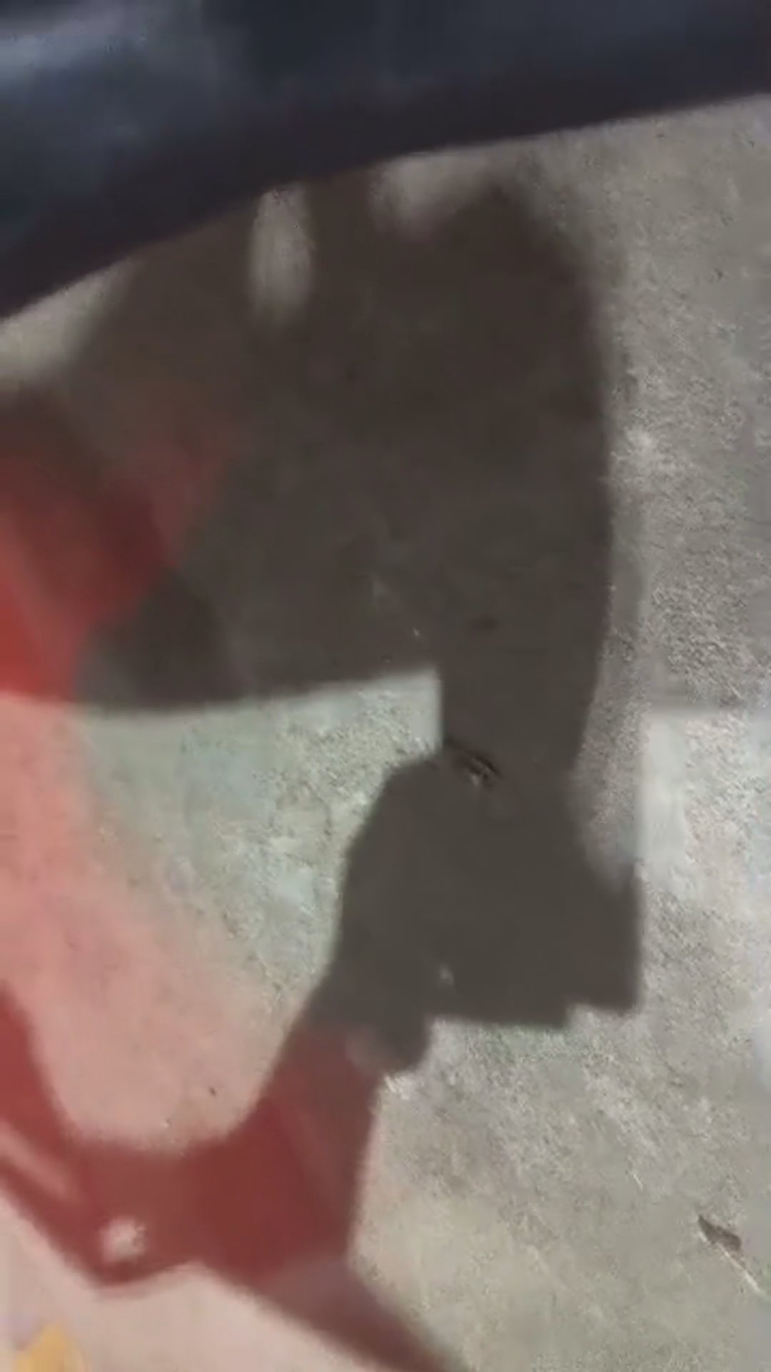 Walk-around video thumbnail