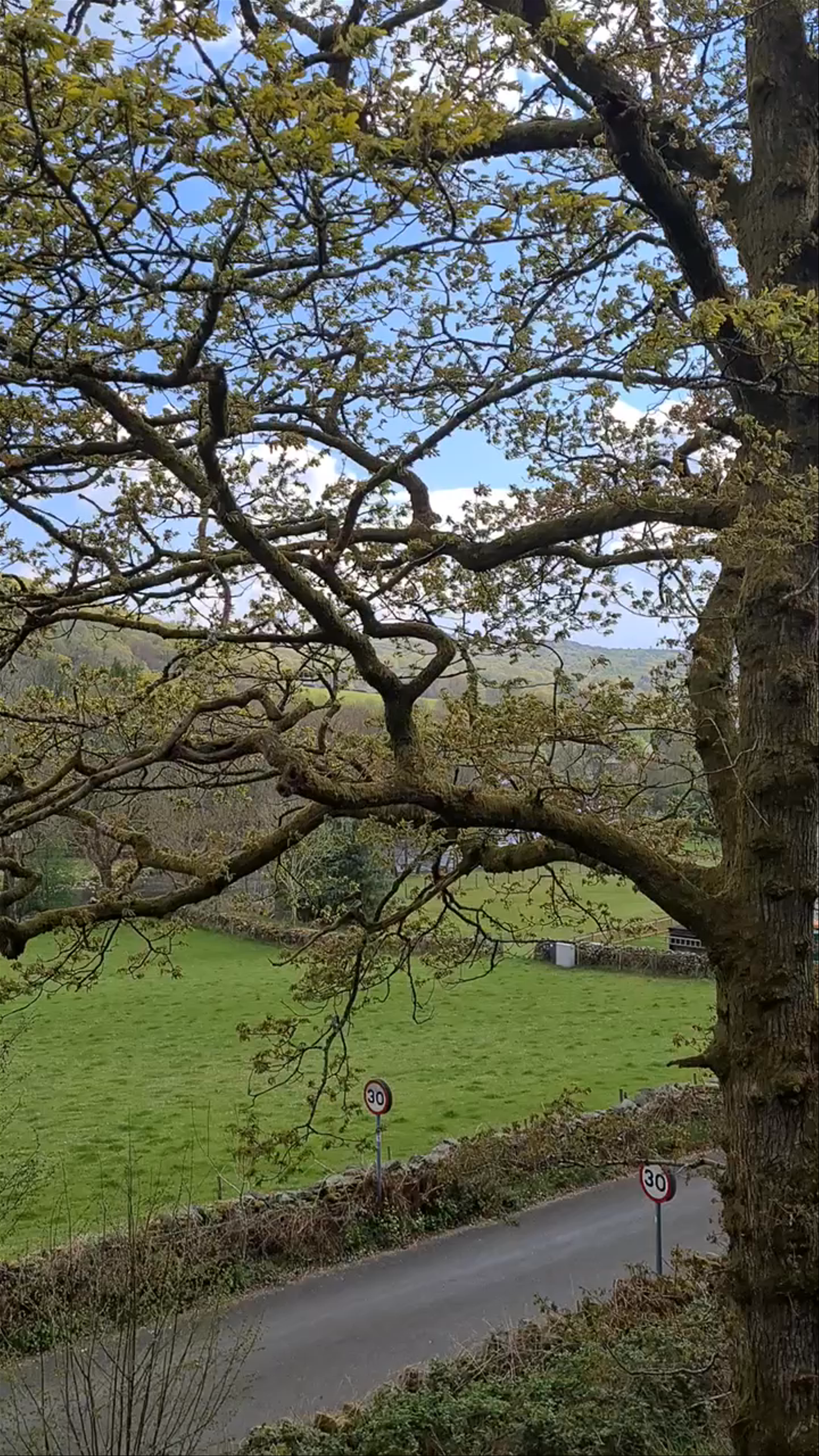Lakeside and Haverthwaite Railway