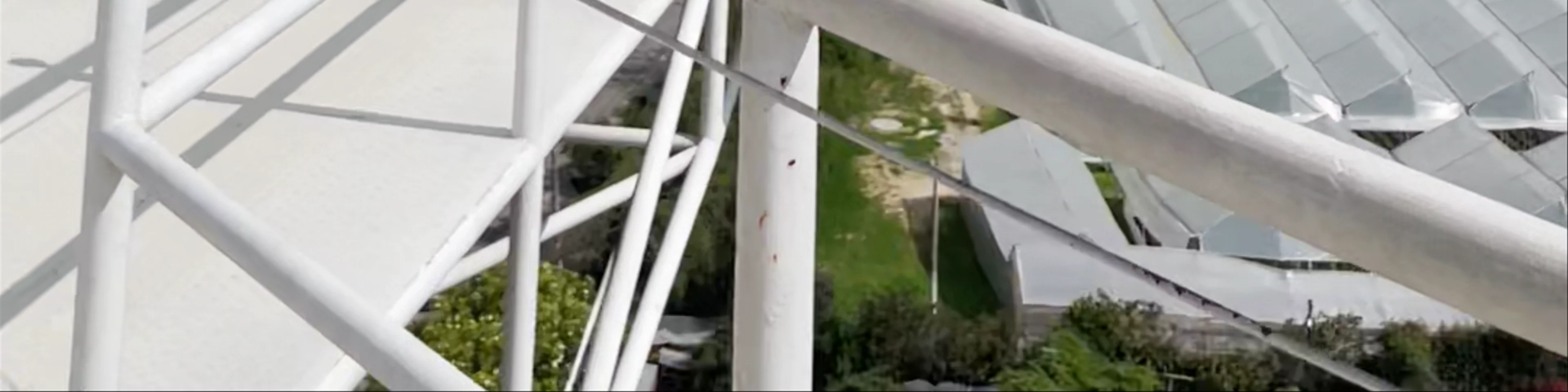 Bungee Extremo Colombia