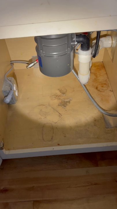 Shield Miceproofing - Pest Control Near Me