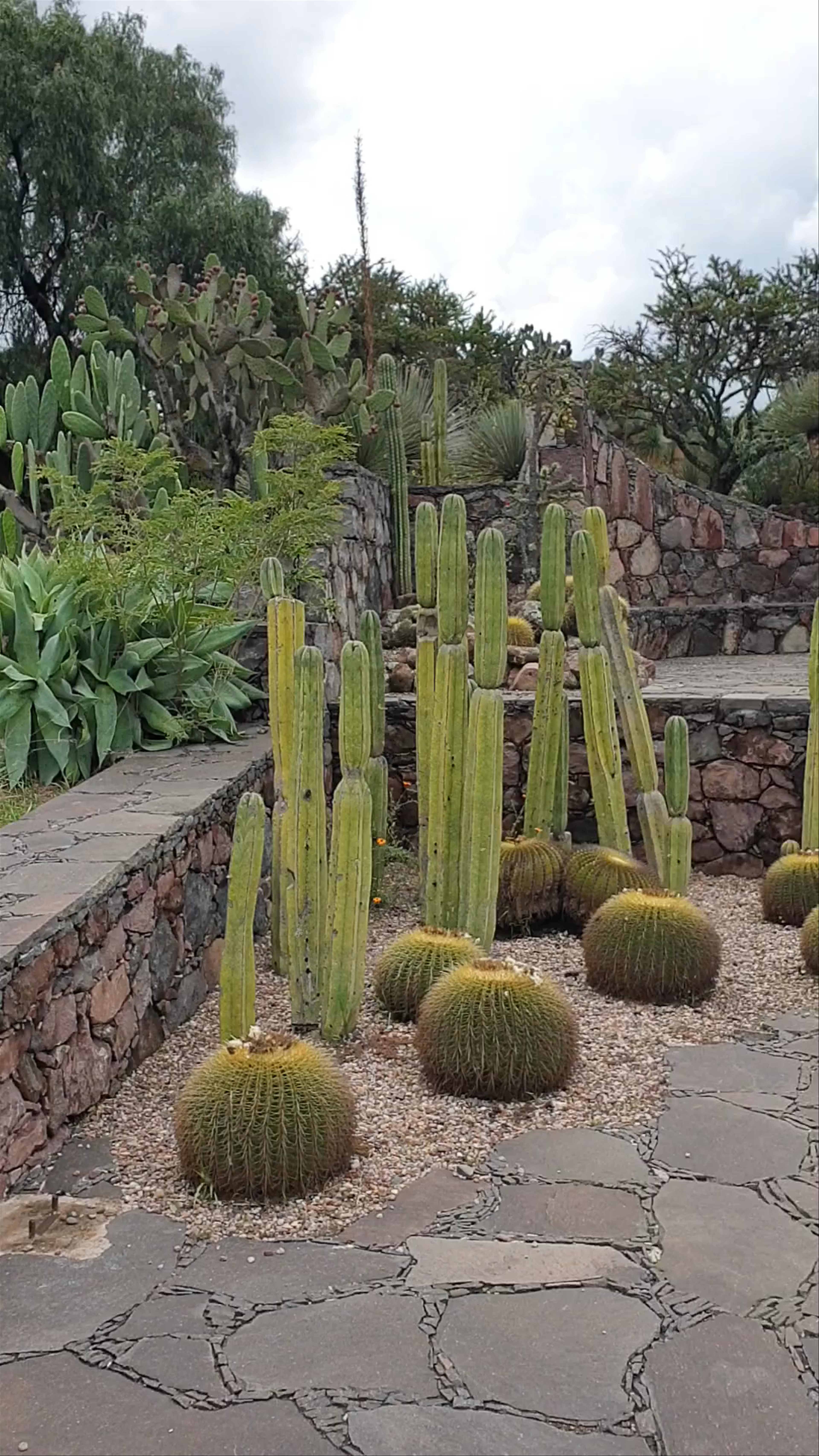 El Charco del Ingenio Jardín Botánico y Área Natural Protegida