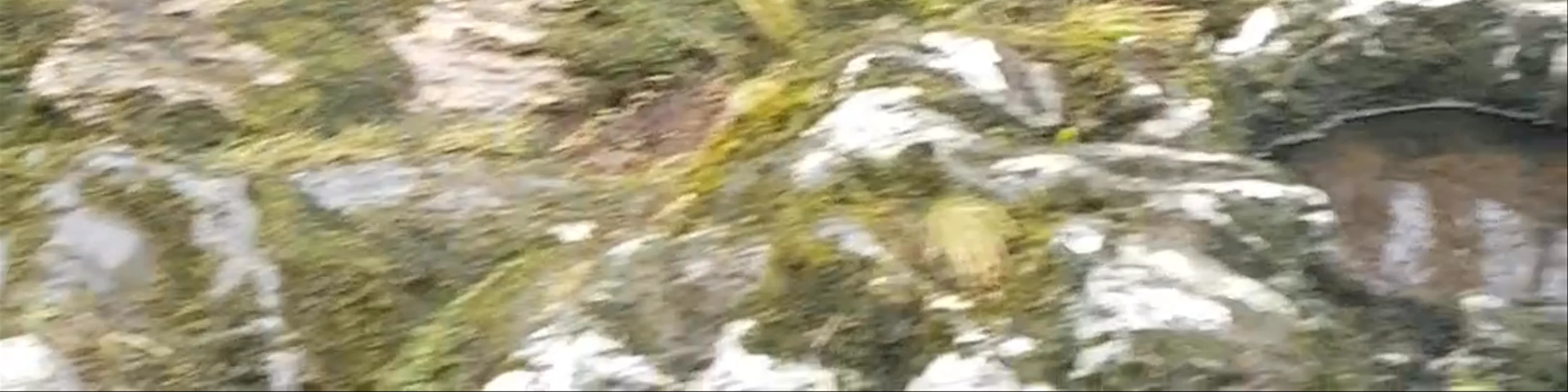 Afon Lledr