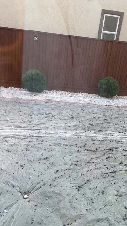 Suns Solar Cleaning Rocklin - This wa the amount of bird , pigeon droppings , there was more when the job was done. - Solar Panel Cleaning Near Me - Rocklin, California