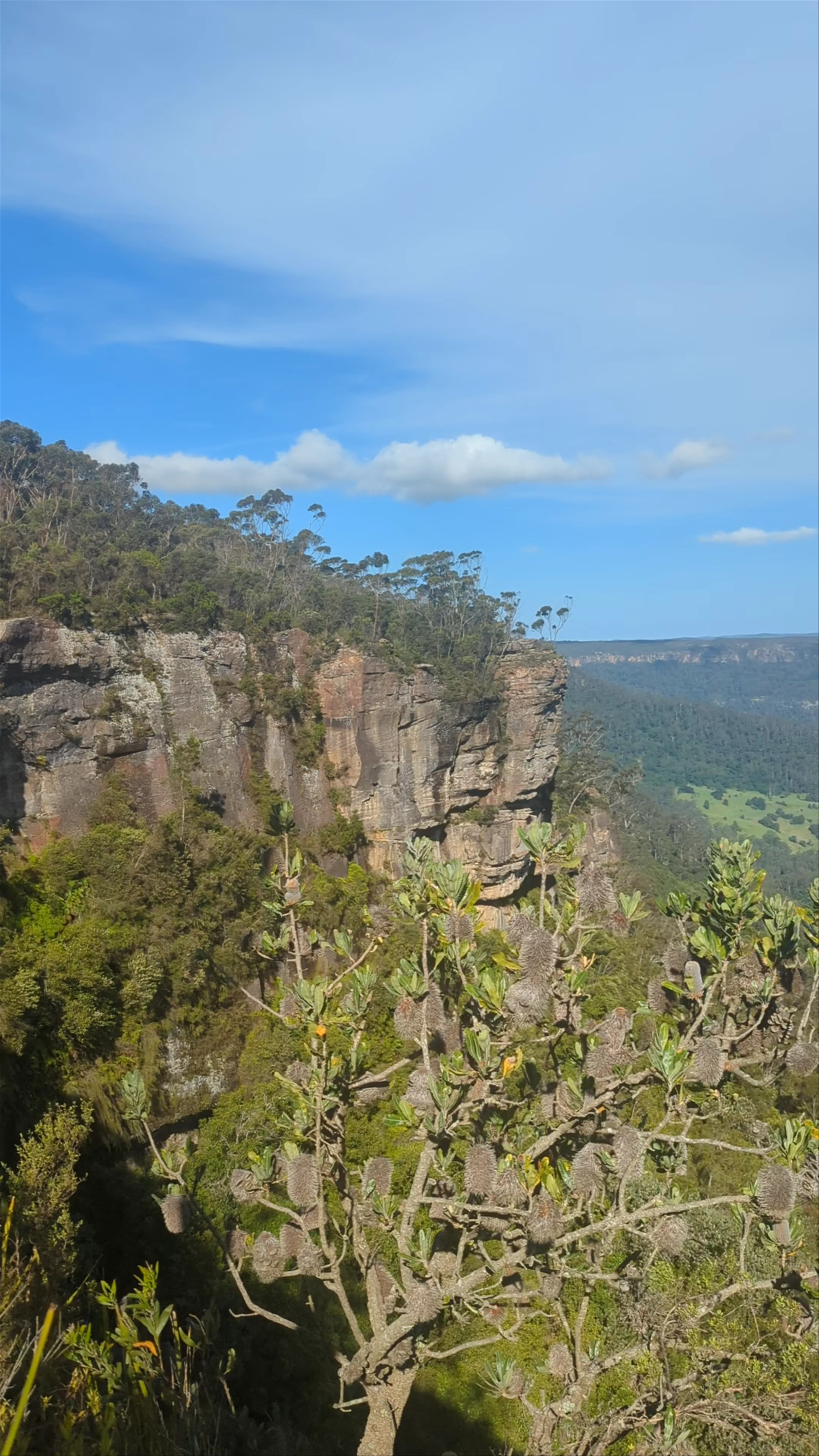 Mannings Lookout, Morton National Park