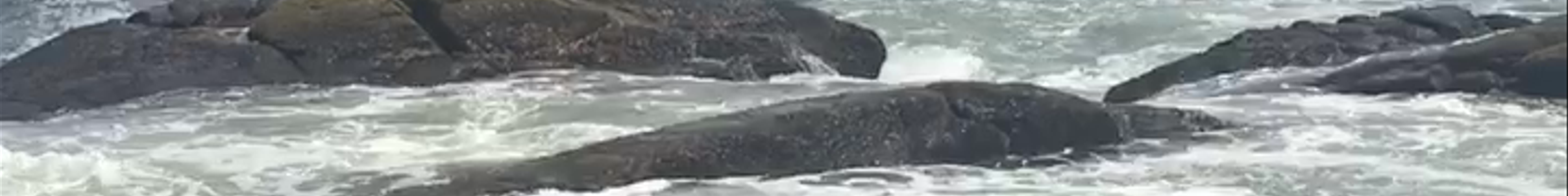 Tours & experiences in Narragansett