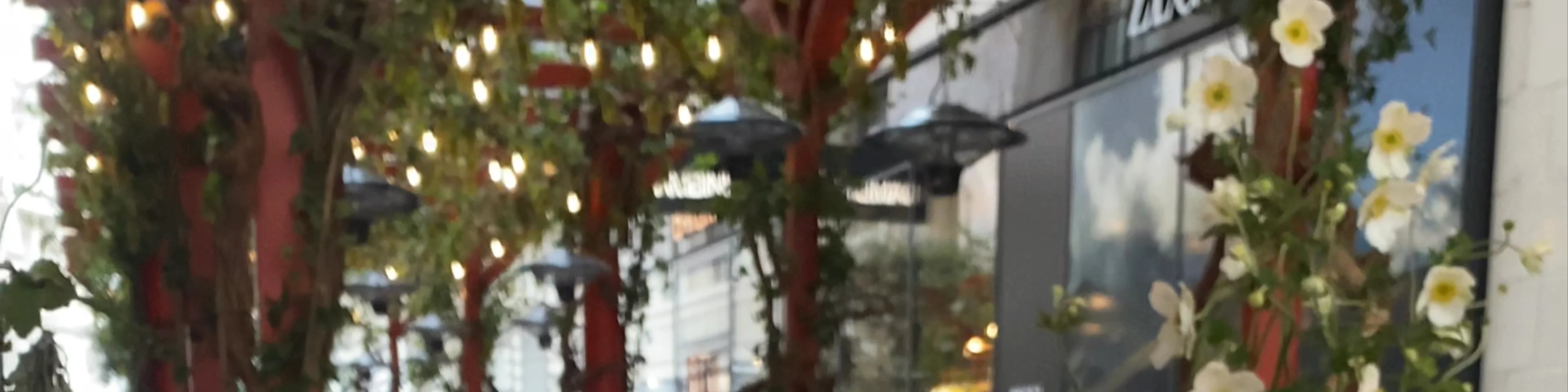 Bar Campari