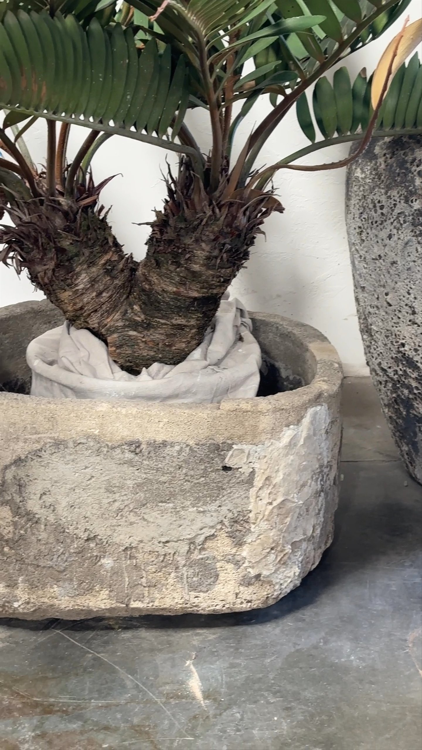 Stone Trough - 5