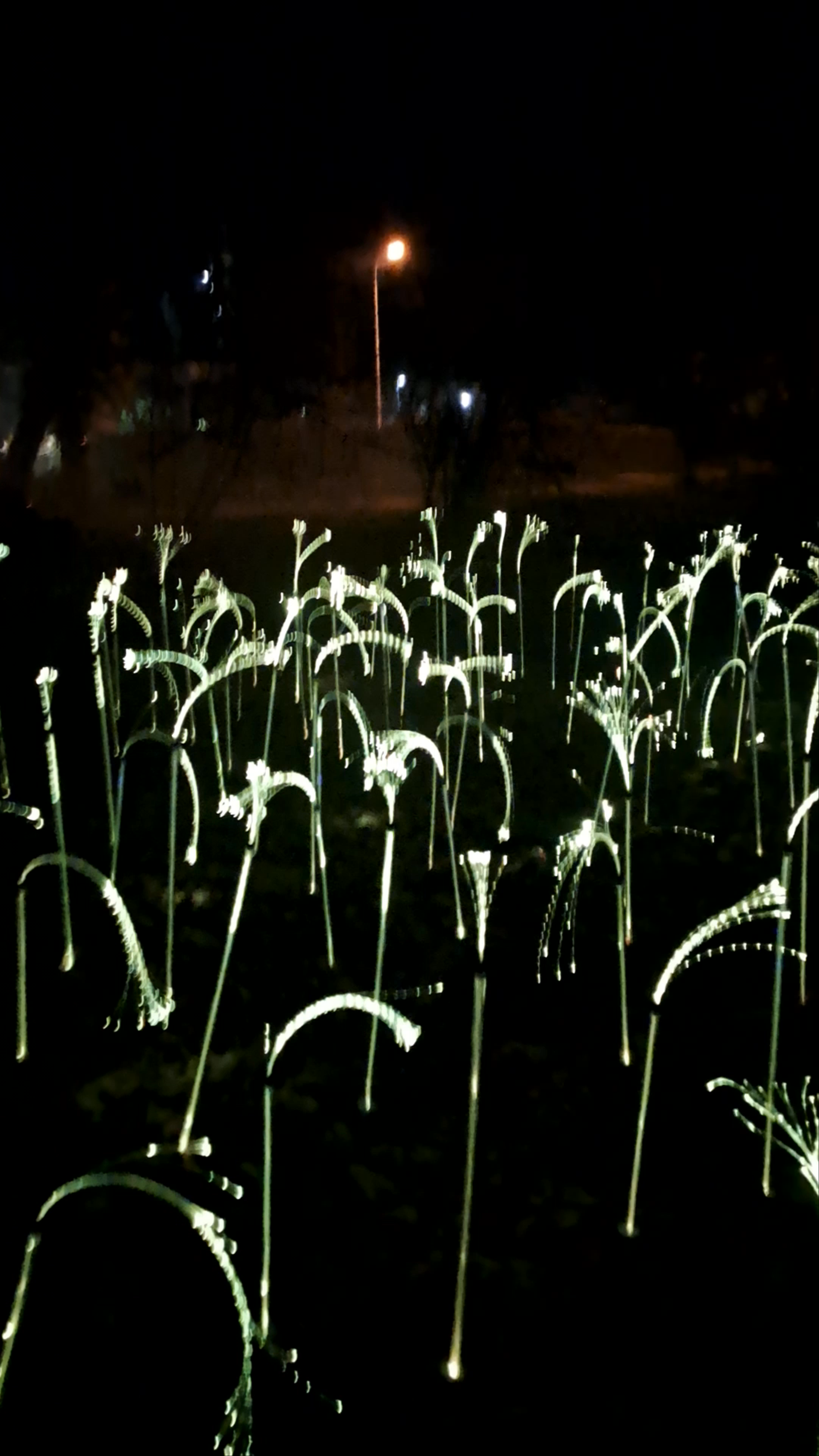 Lumina Park Poznań