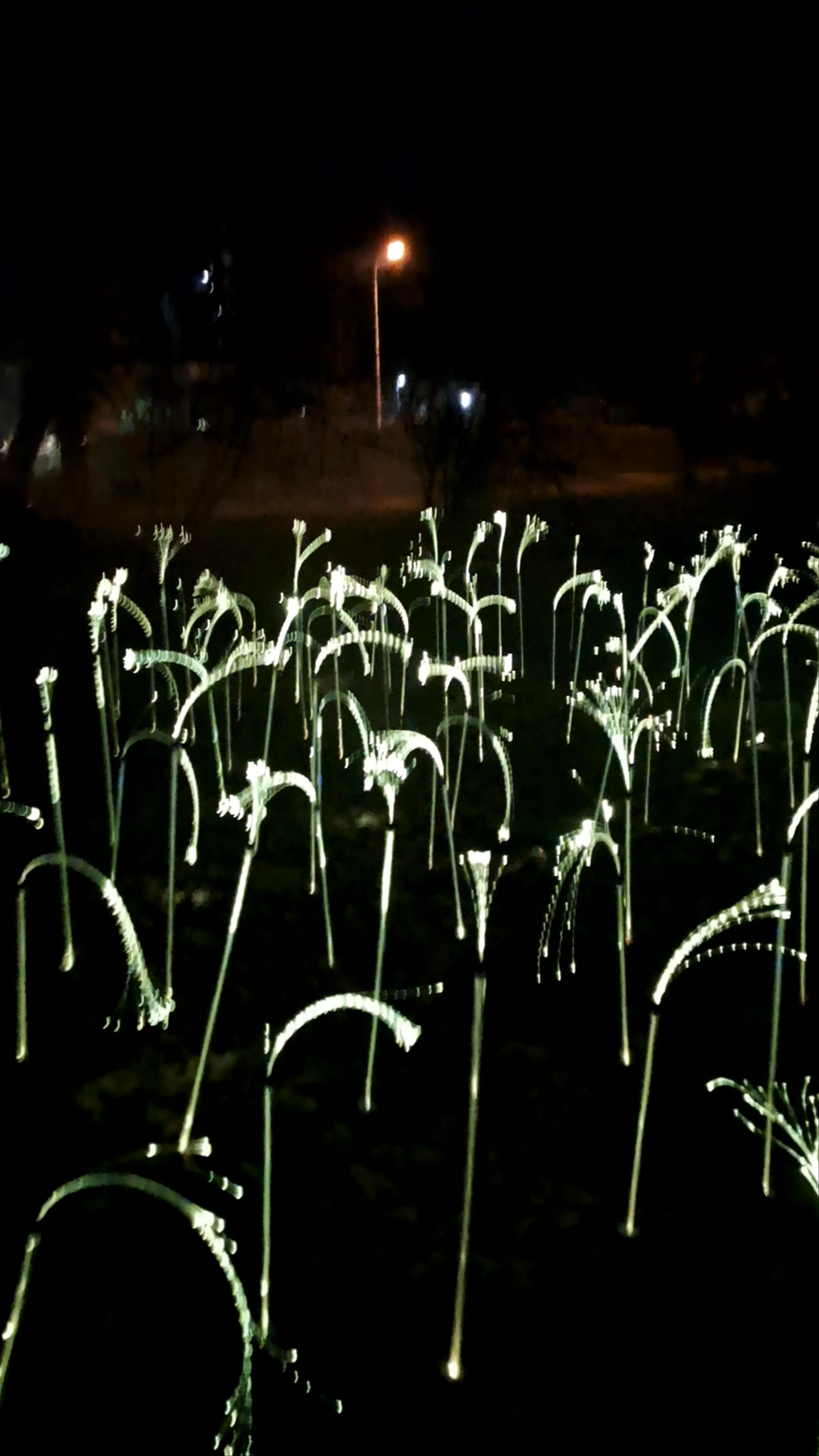 Lumina Park Poznań