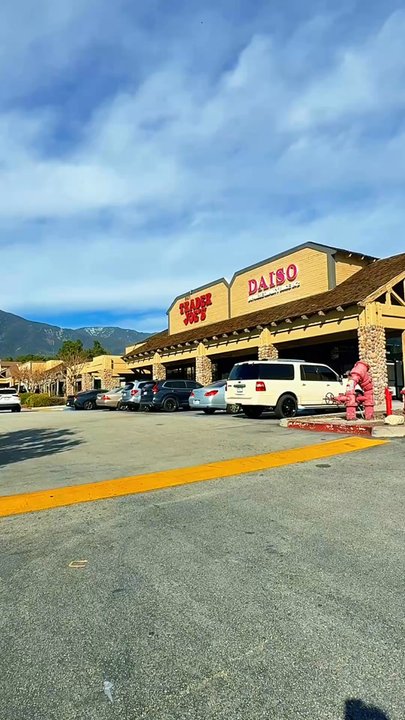 Trader Joe's - Trader Joe's, Rancho Cucamonga I love coming here to discover new foods!  They always have exciting new items. - Grocery Near Me - Rancho Cucamonga, California