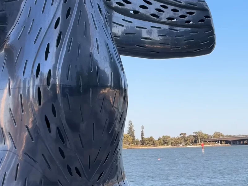 Dog Day Out