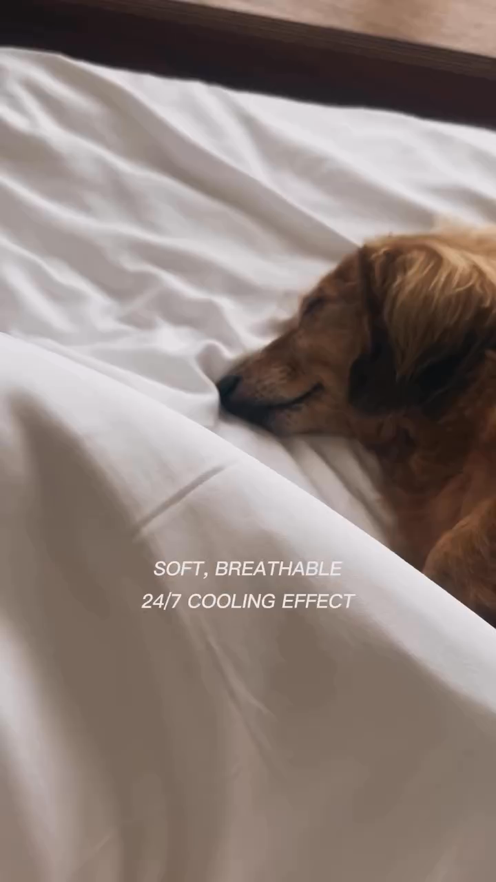 SHEETS-THIS-FEELS-LIKE-HOTEL!!!