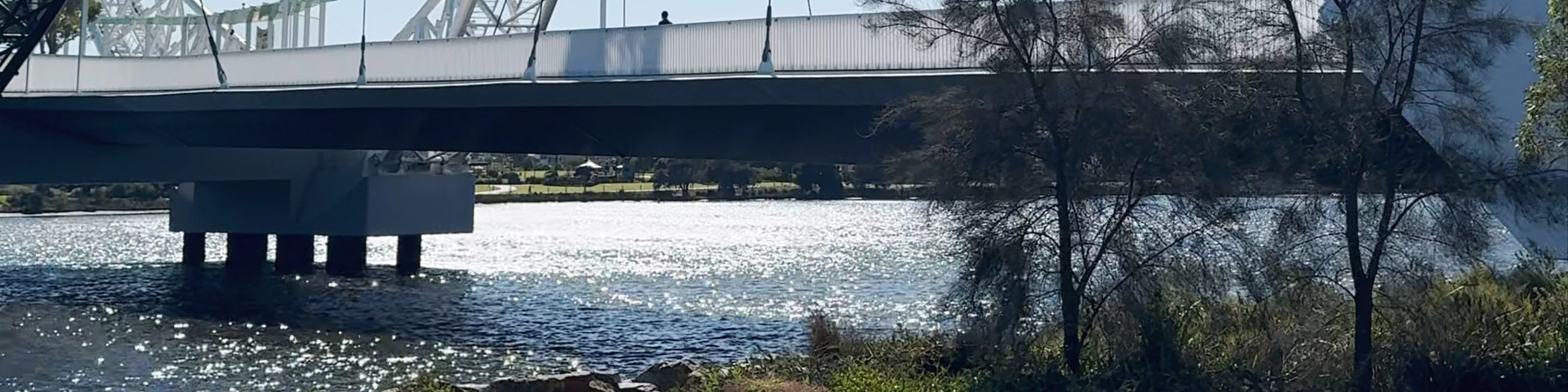 Matagarup Bridge