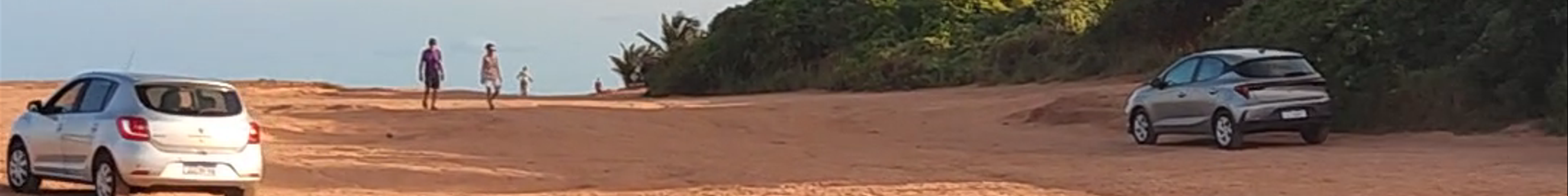 Tours & experiences in Tibau do Sul