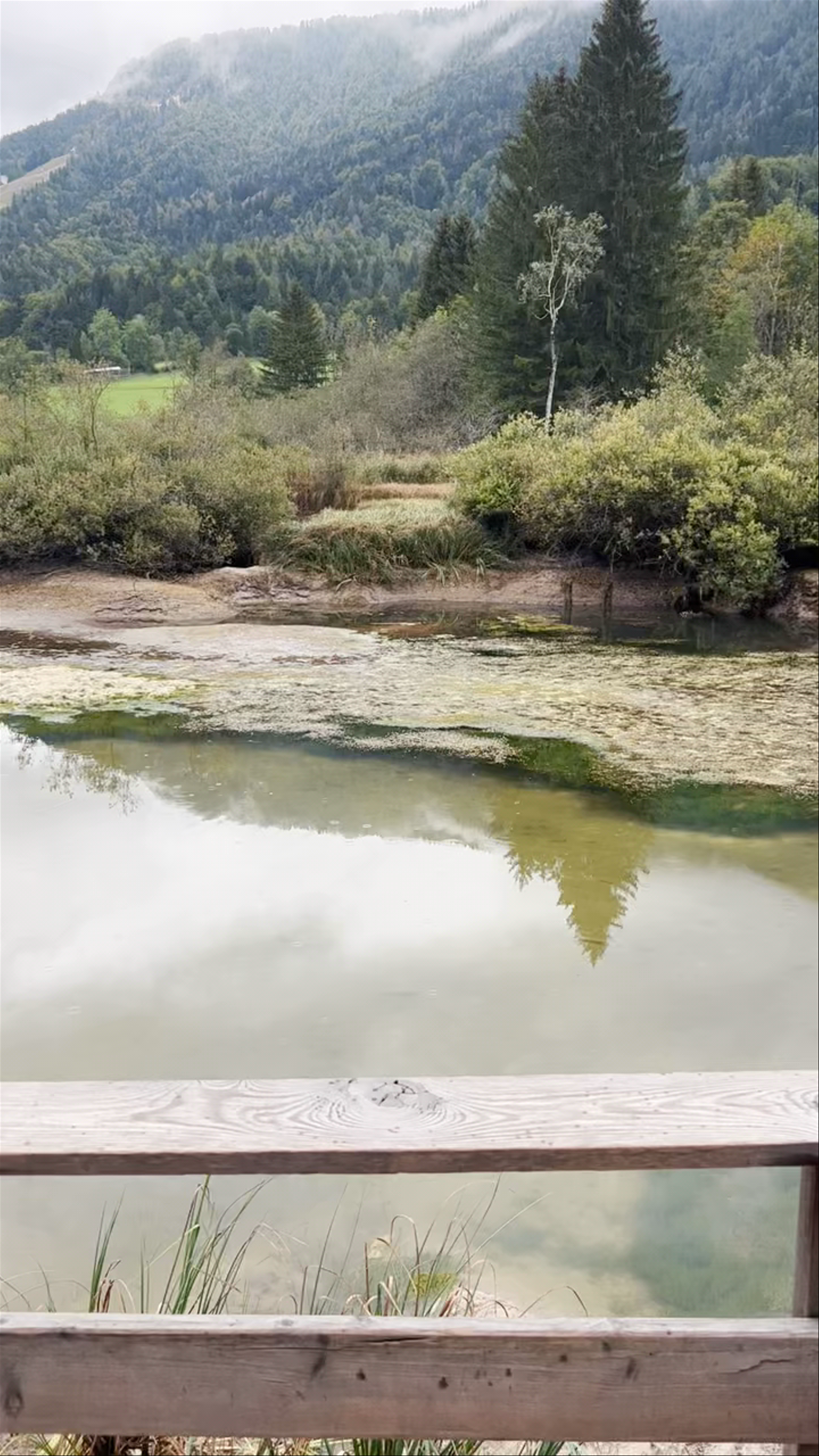 Naravni rezervat Zelenci