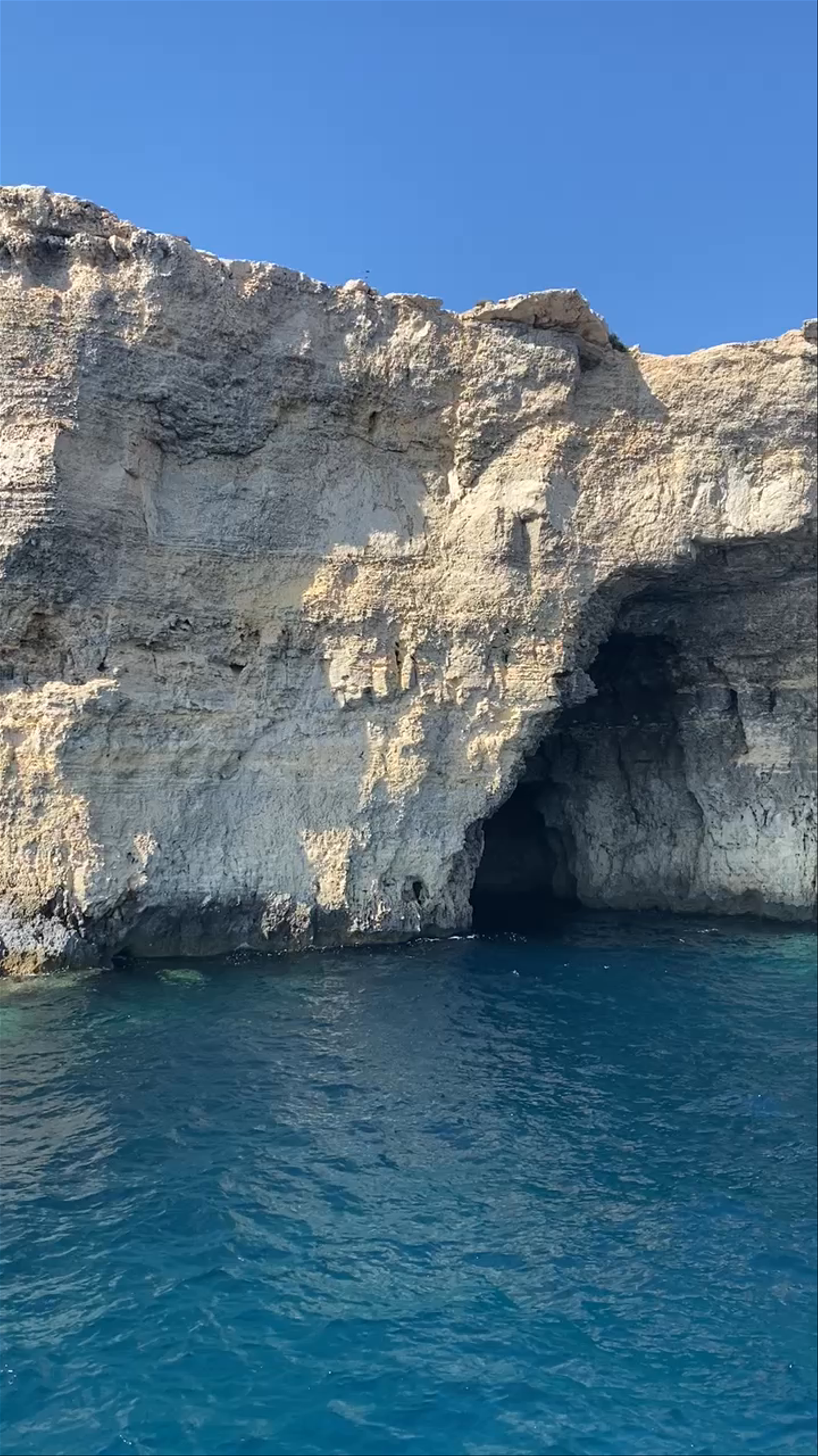 Blue Lagoon Co-op - Ferry