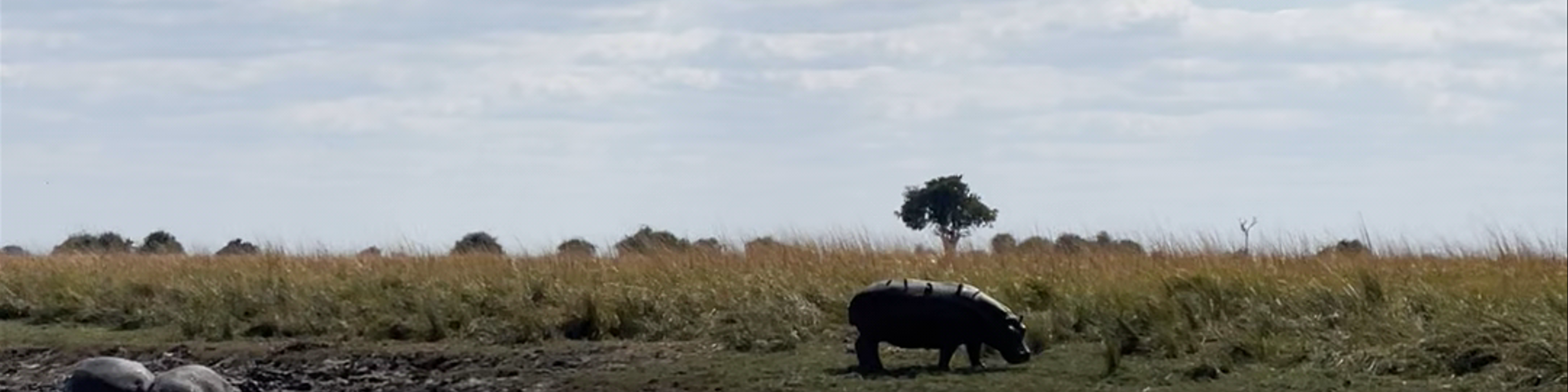 Namibia