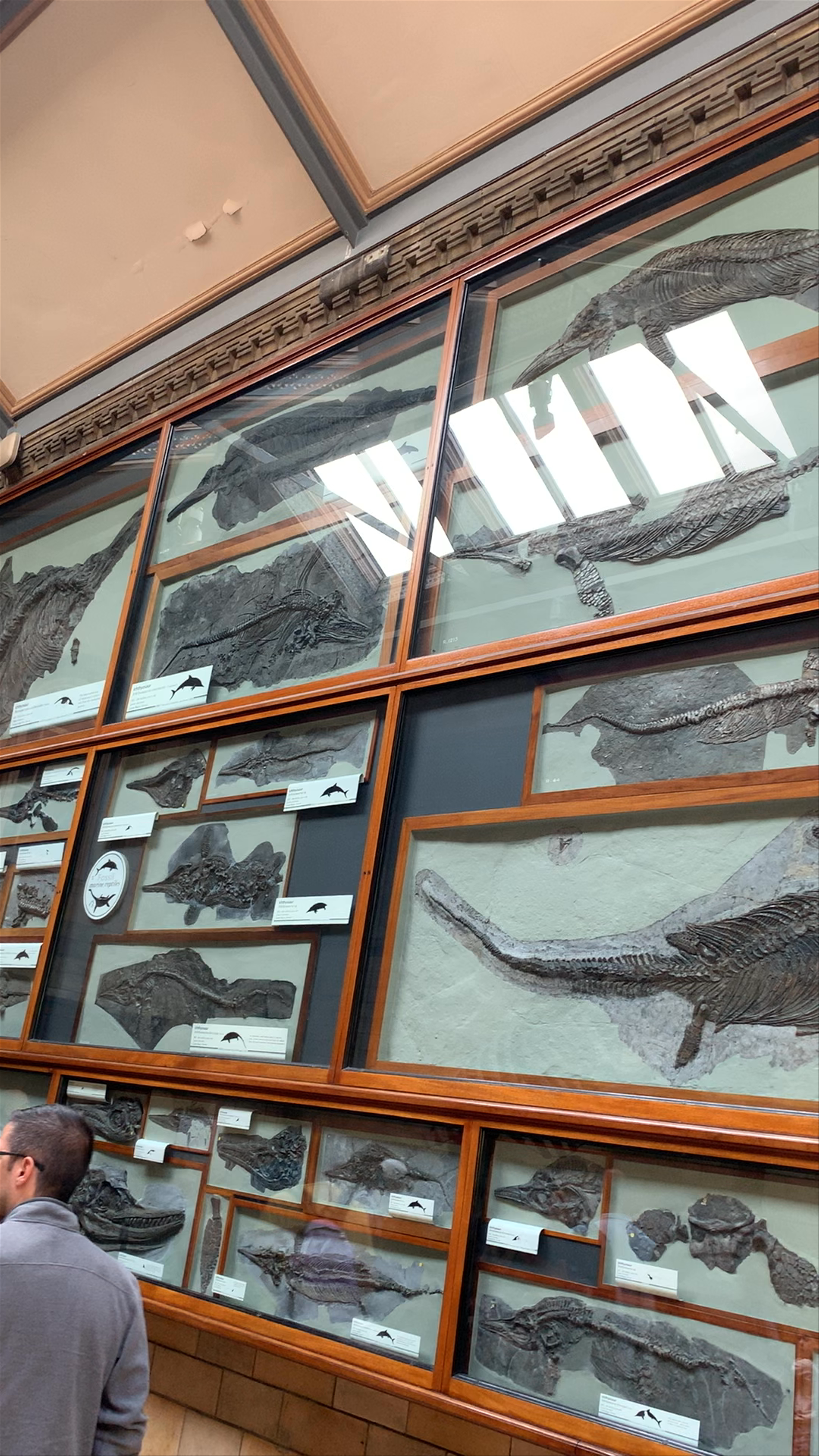 Natural History Museum
