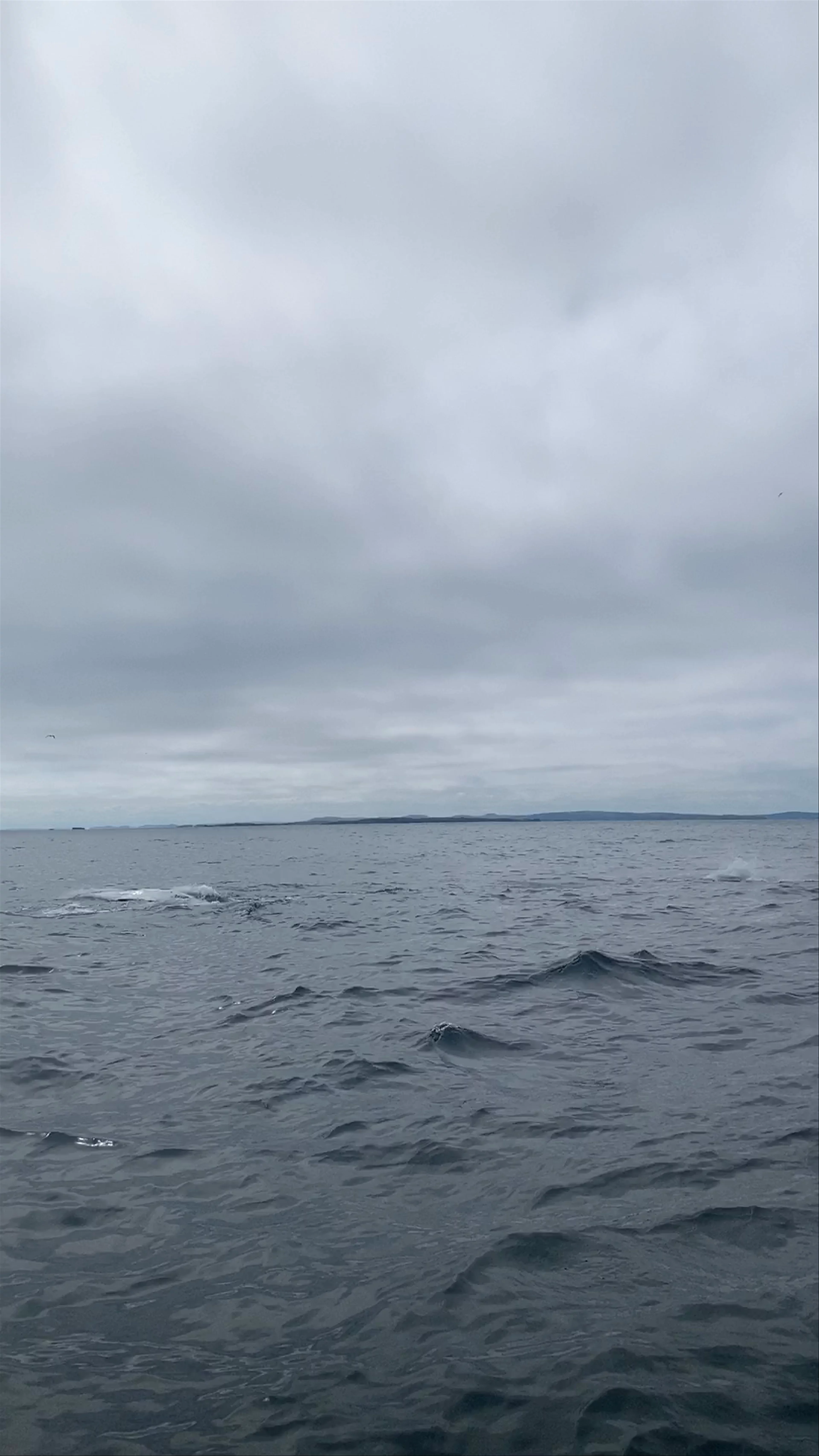 Hare Bay Adventures, Main Road, Hare Bay, NL, Canada