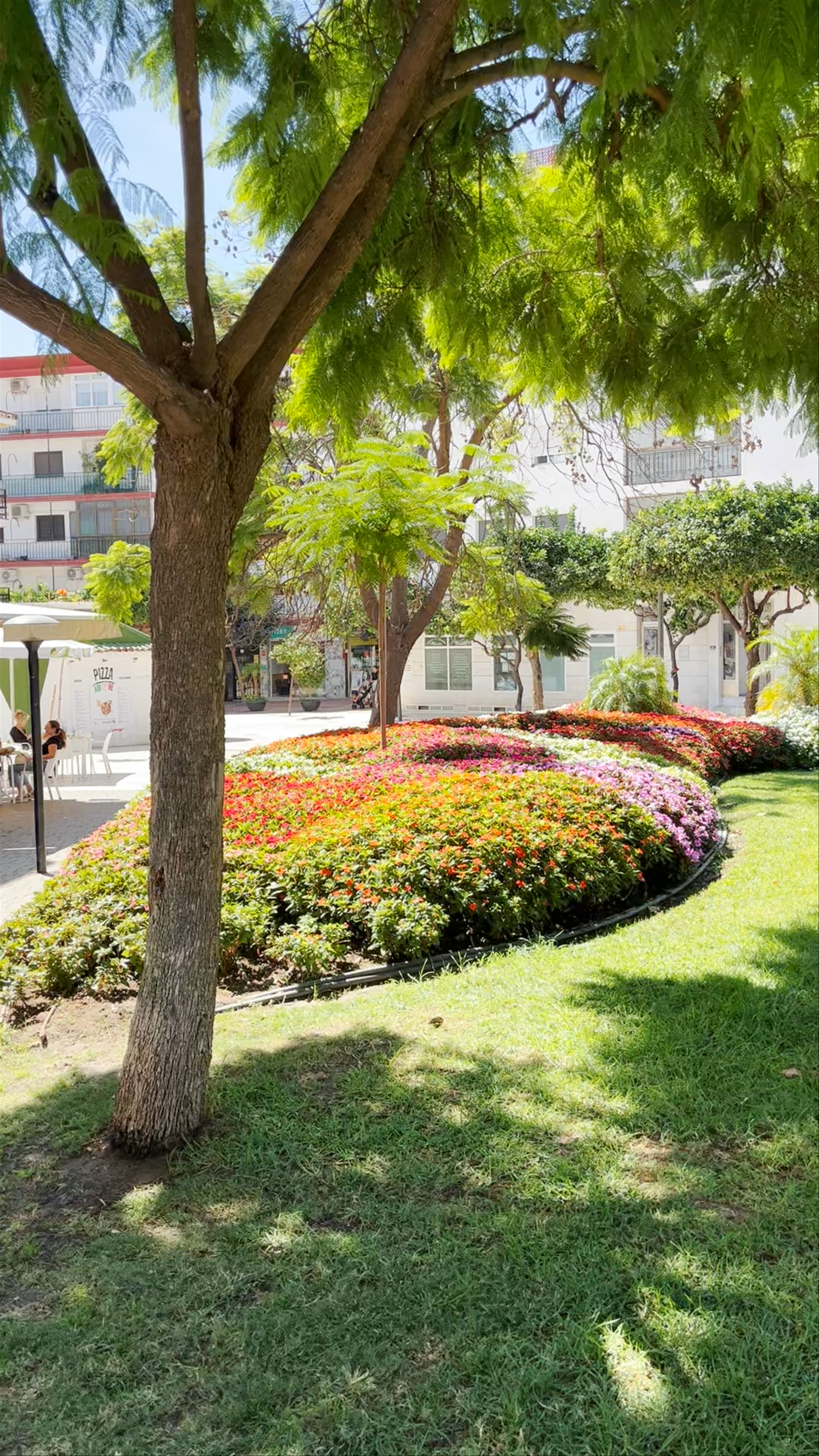 Estepona Orchid House