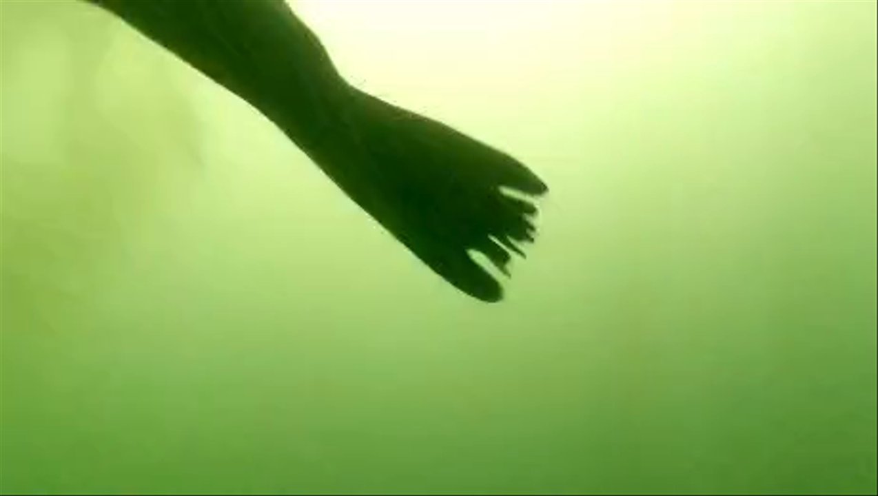 Marissa Charters - Buzzed by a sea lion. He just checked us out and then boogied off. - Scuba Diving Near Me - San Diego,, California