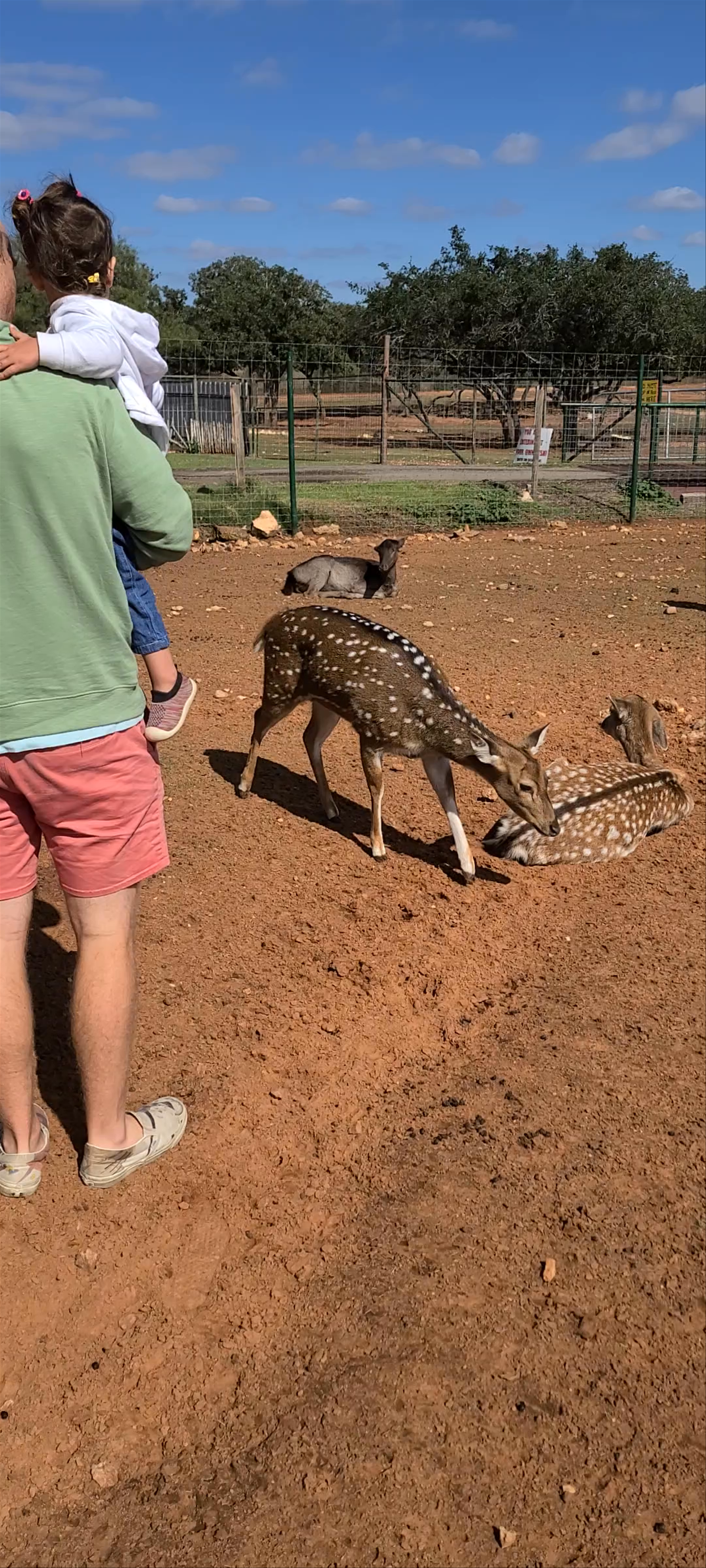 The Exotic Resort Zoo