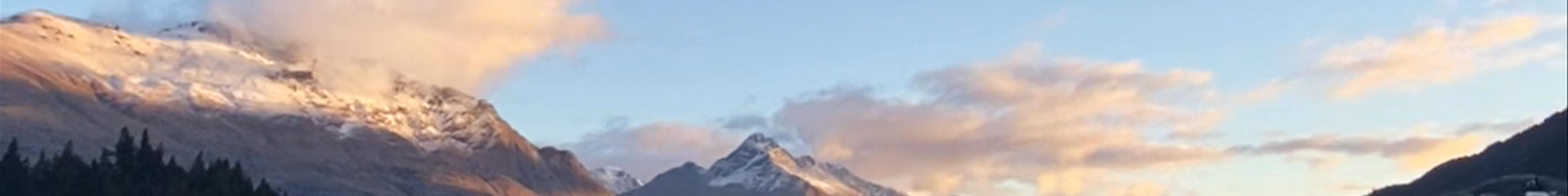 Tours & experiences in New Zealand